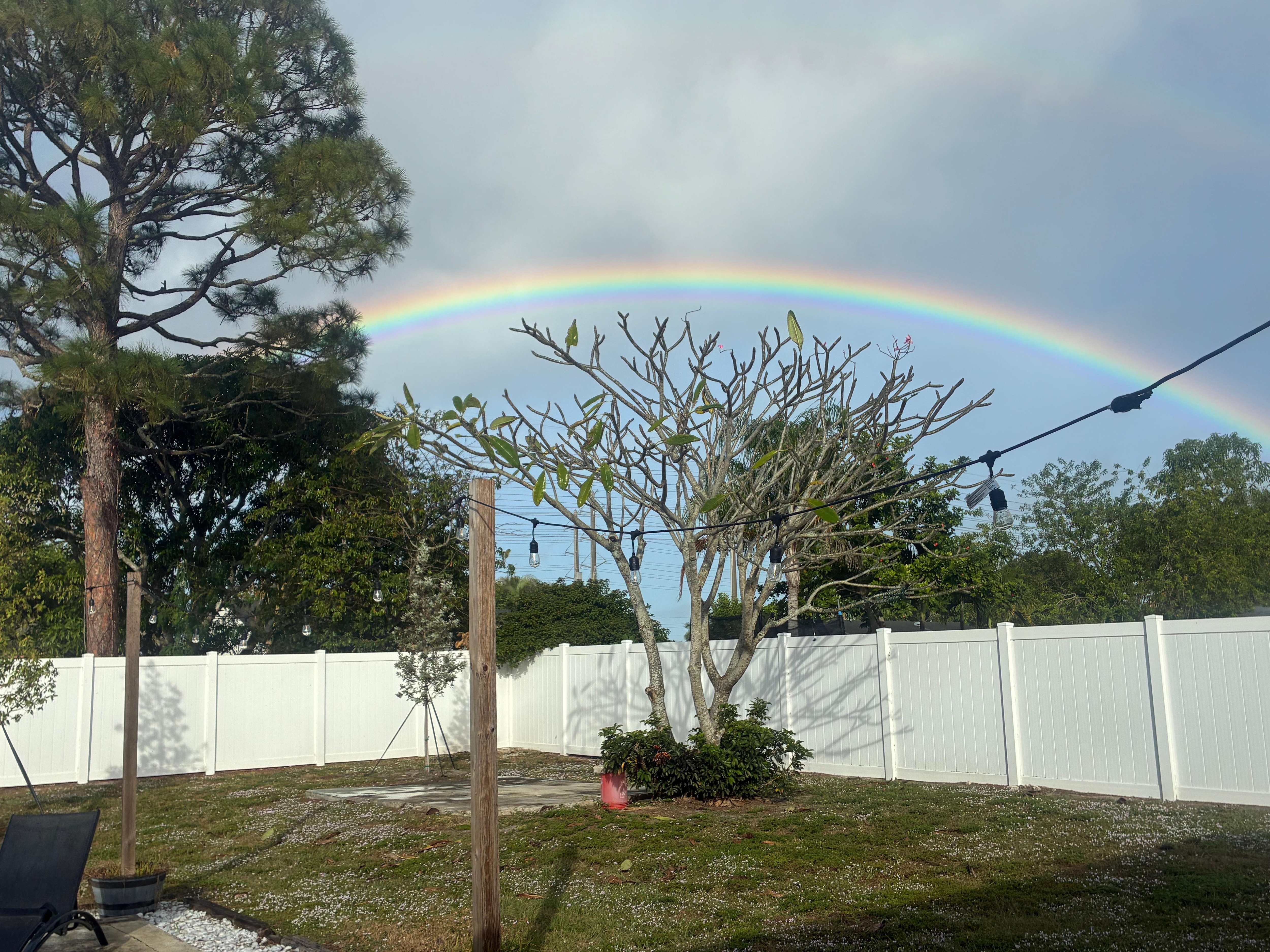 Rainbow from the backyard after surprise shower 💦☔️