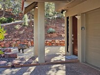 Javelina at the door