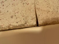 Every seam was lifting throughout the room.