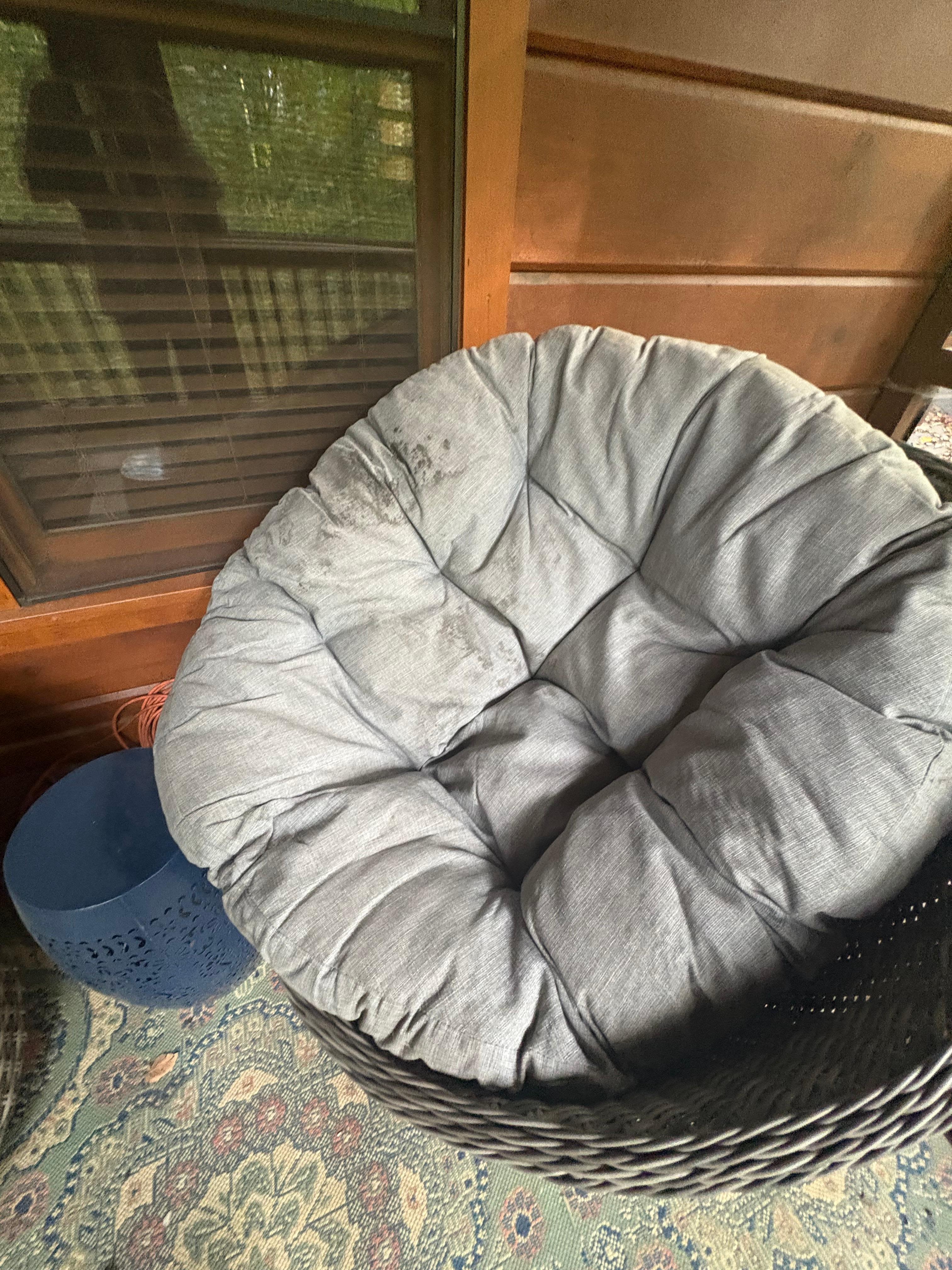 Dirty moldy furniture cushions 