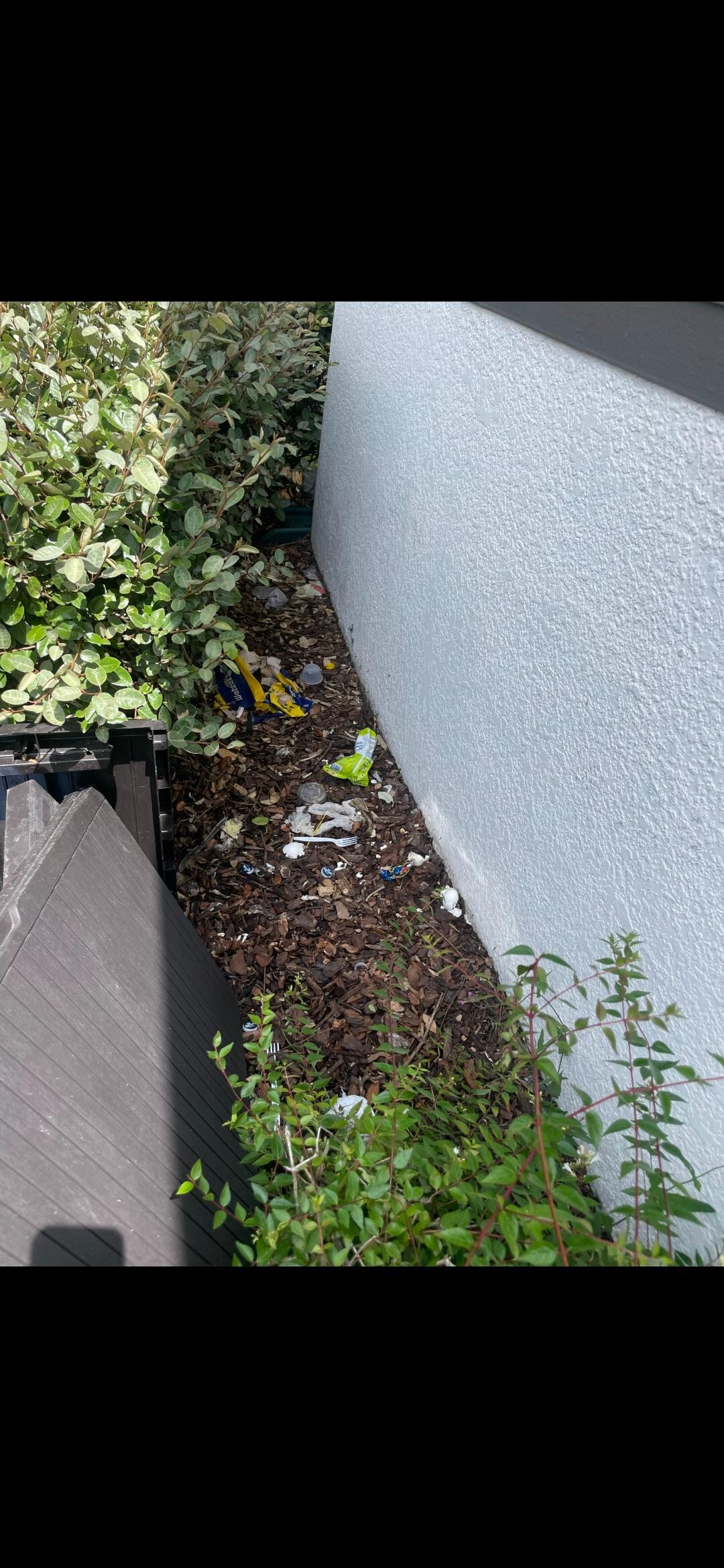 Trash