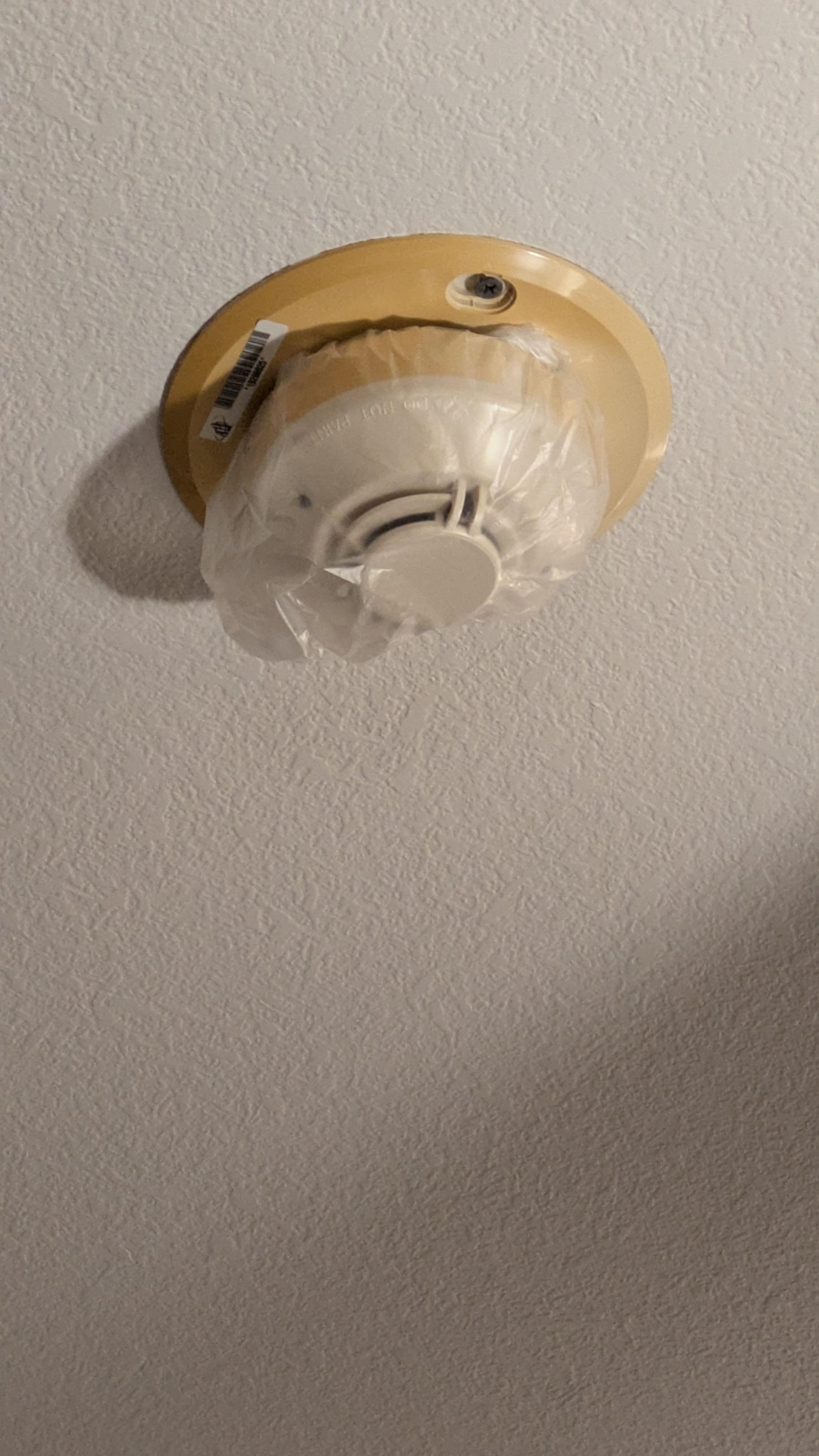 Plastic covered smoke detector 