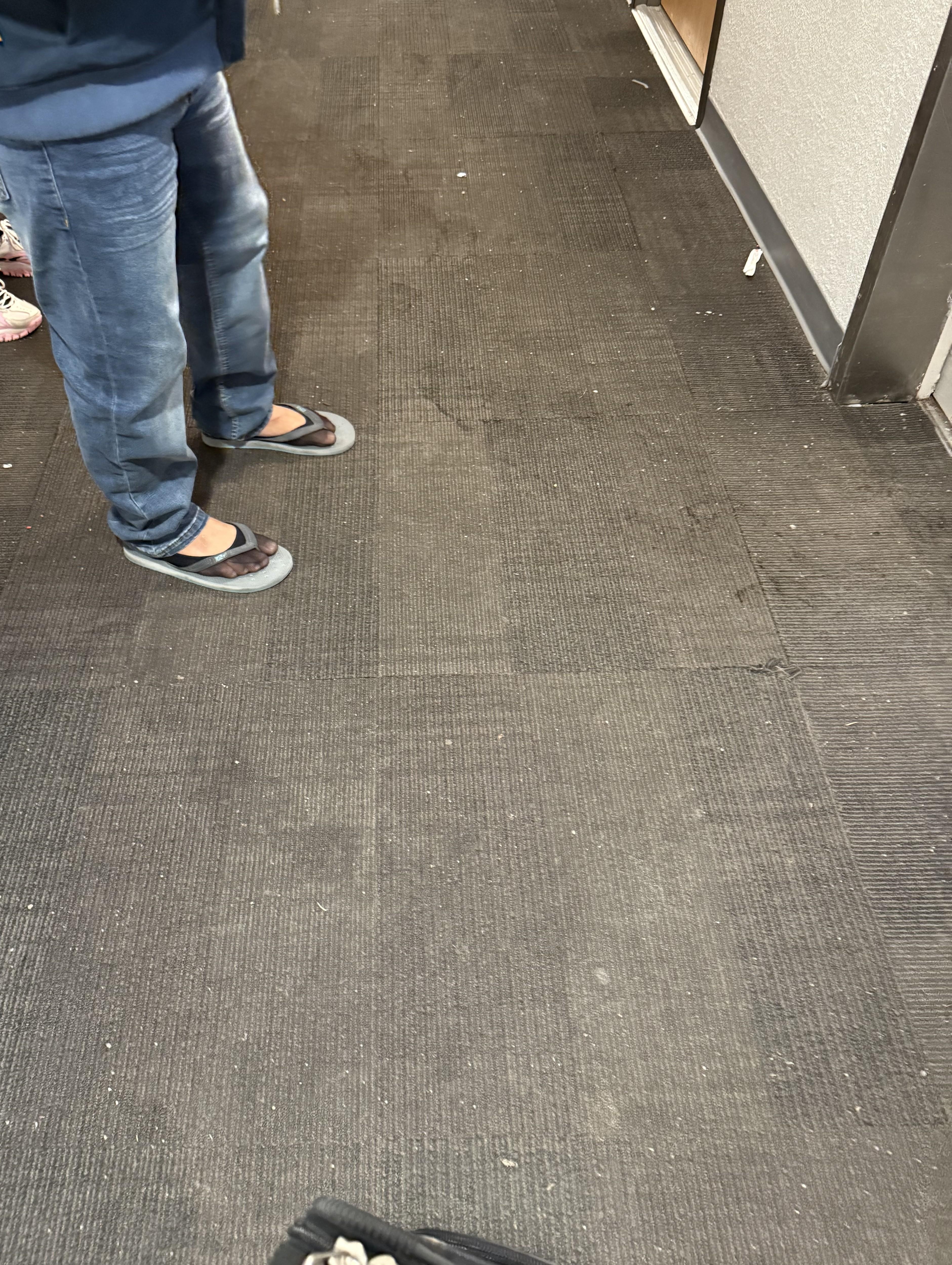 Moldy and disgusting carpets