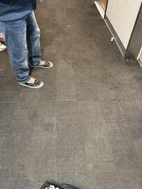 Moldy and disgusting carpets