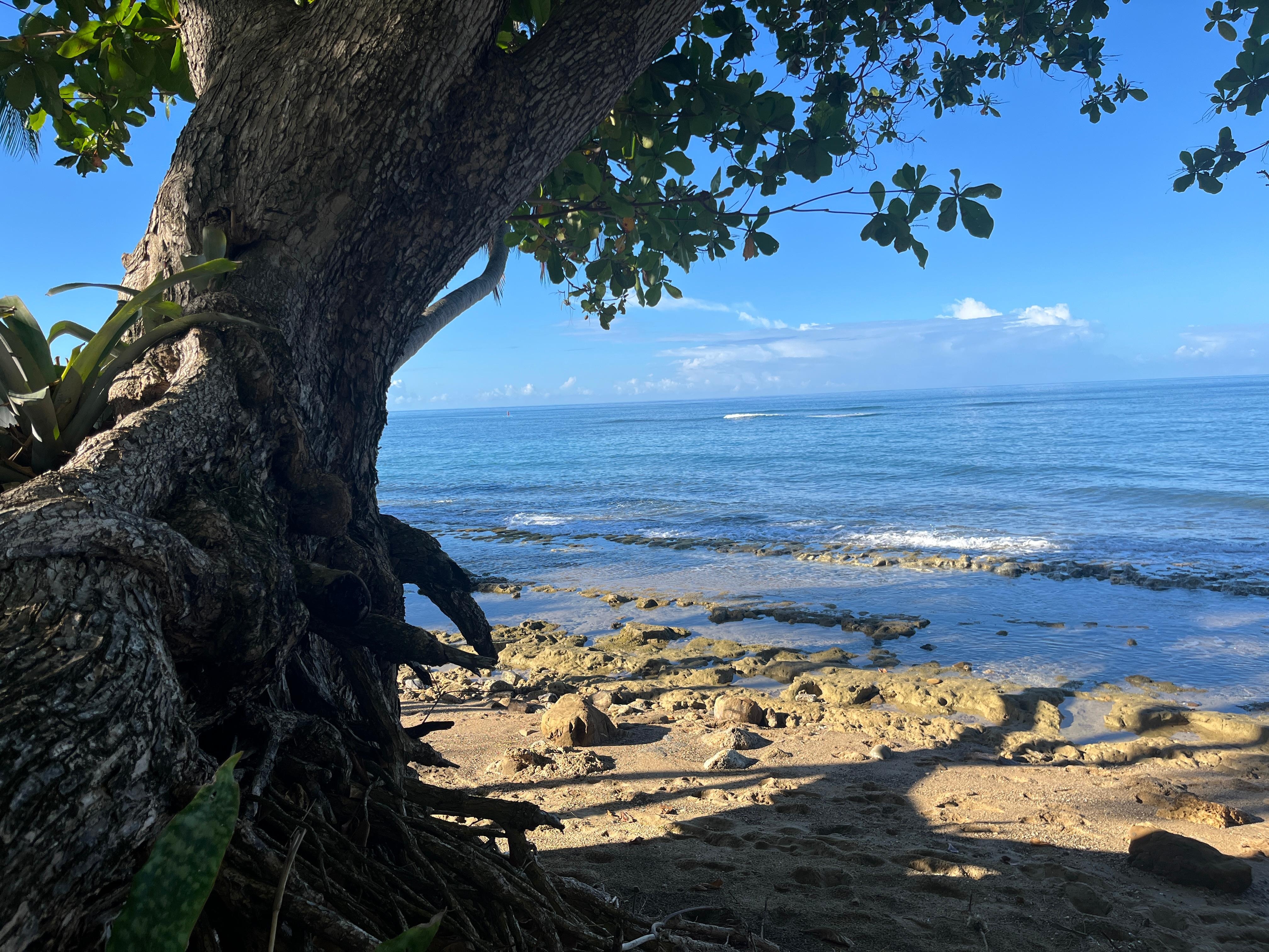 great for hunting for sea glass at low tide