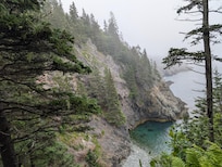 Cutler Coast