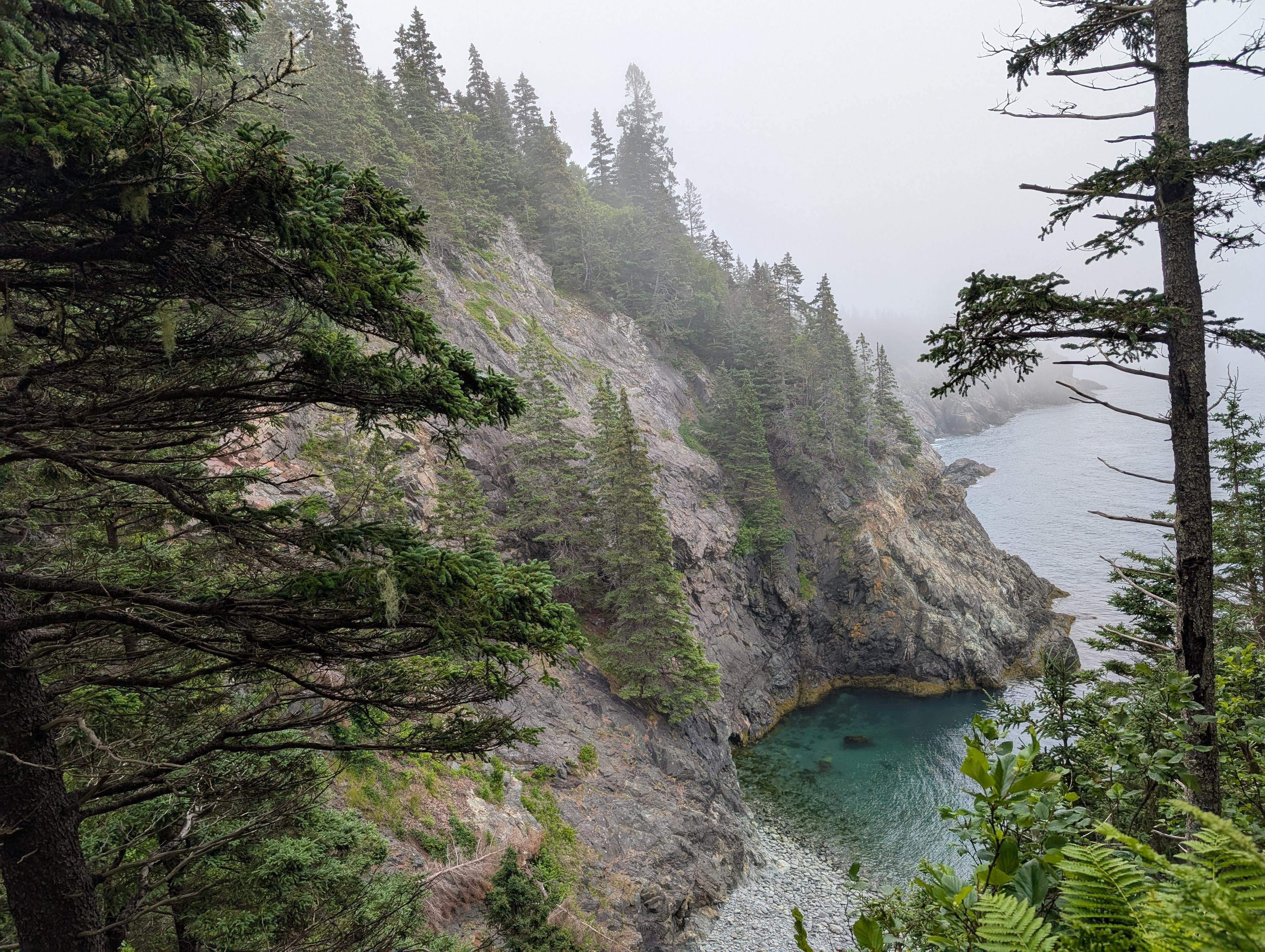 Cutler Coast