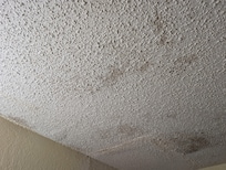 Mold on bathroom ceiling