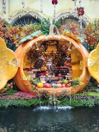 Beautiful Garden