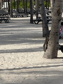 Playa