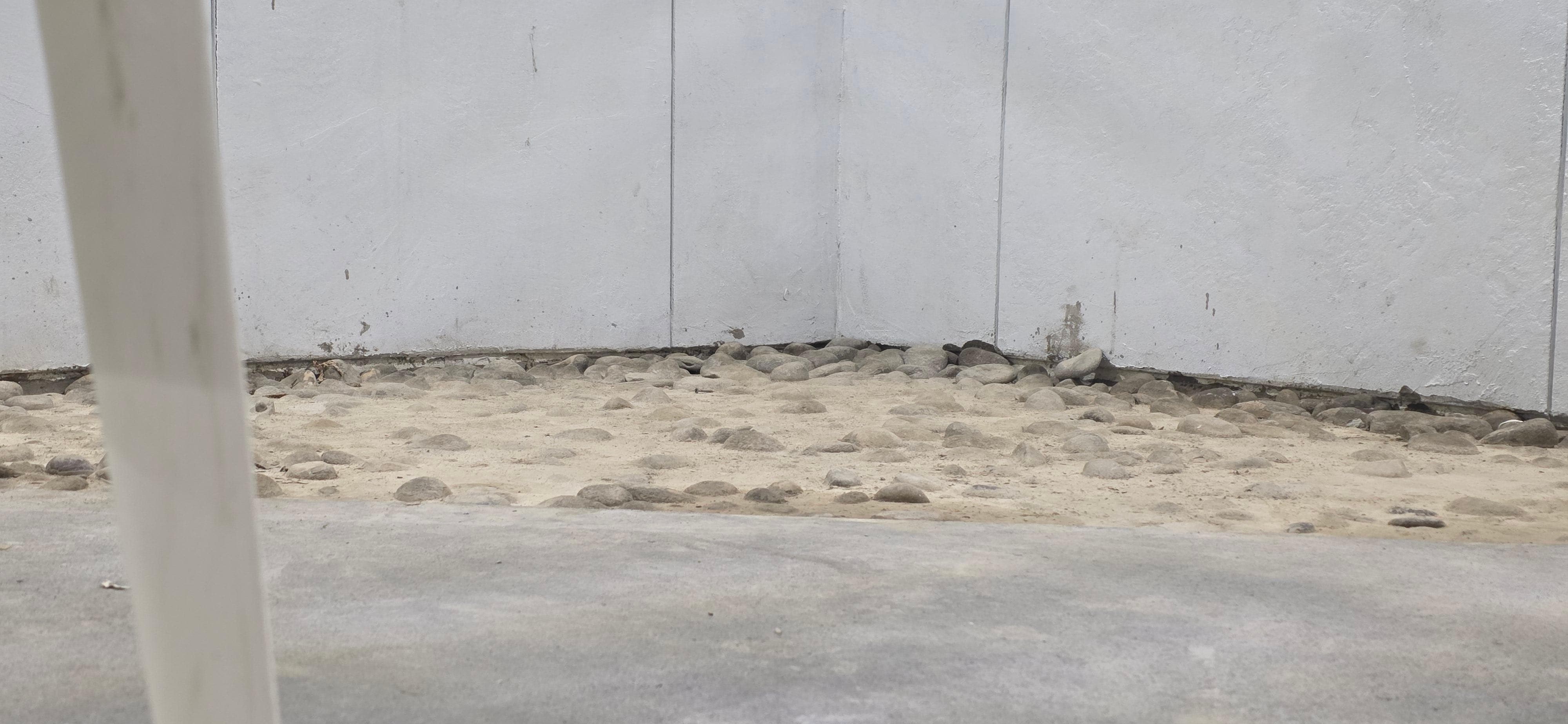 No plants and just plain dirty with some loose rocks. 