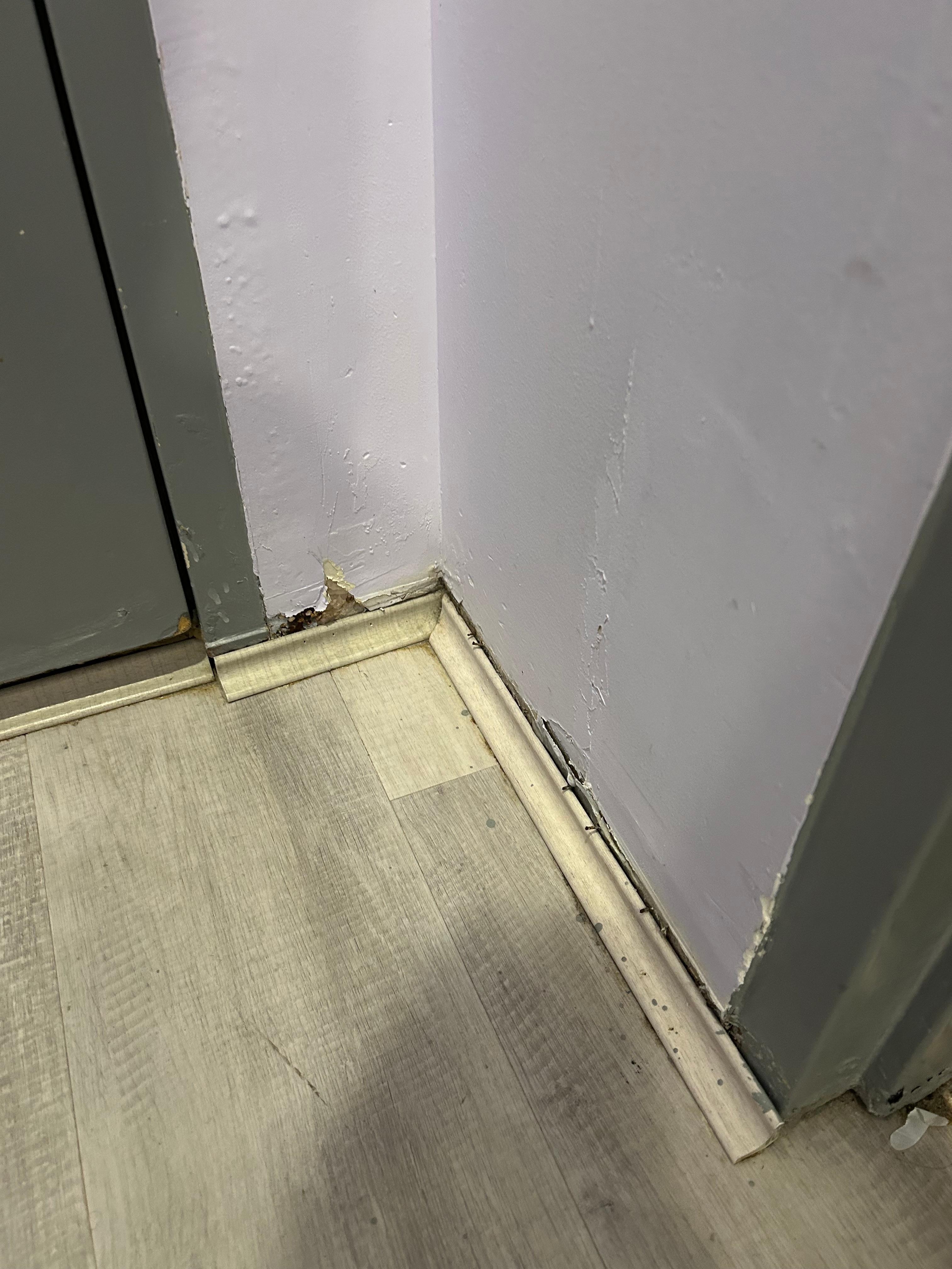 The standard condition of the floor and trim