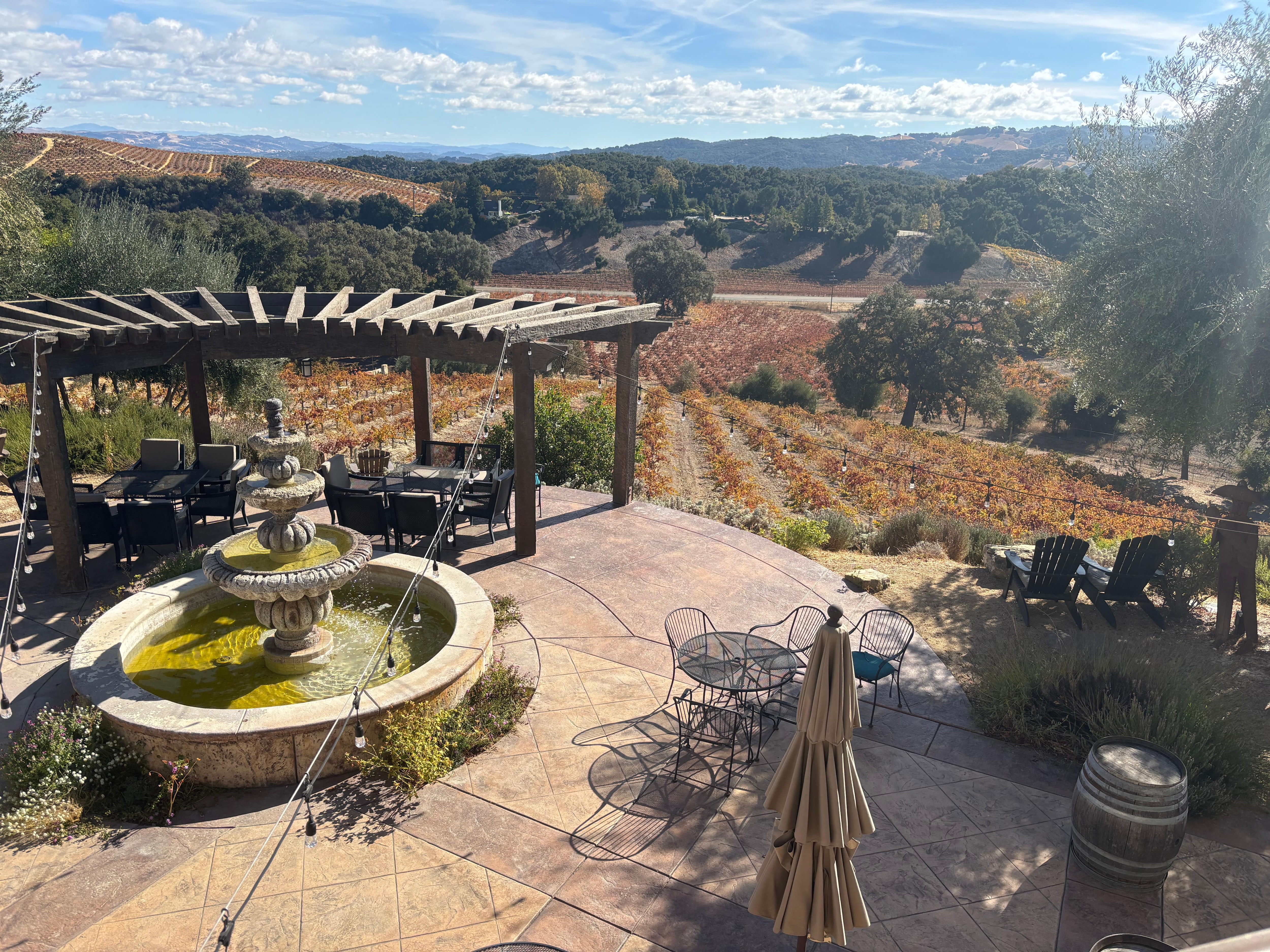 View from Croad Winery tasting room, off the West 46.