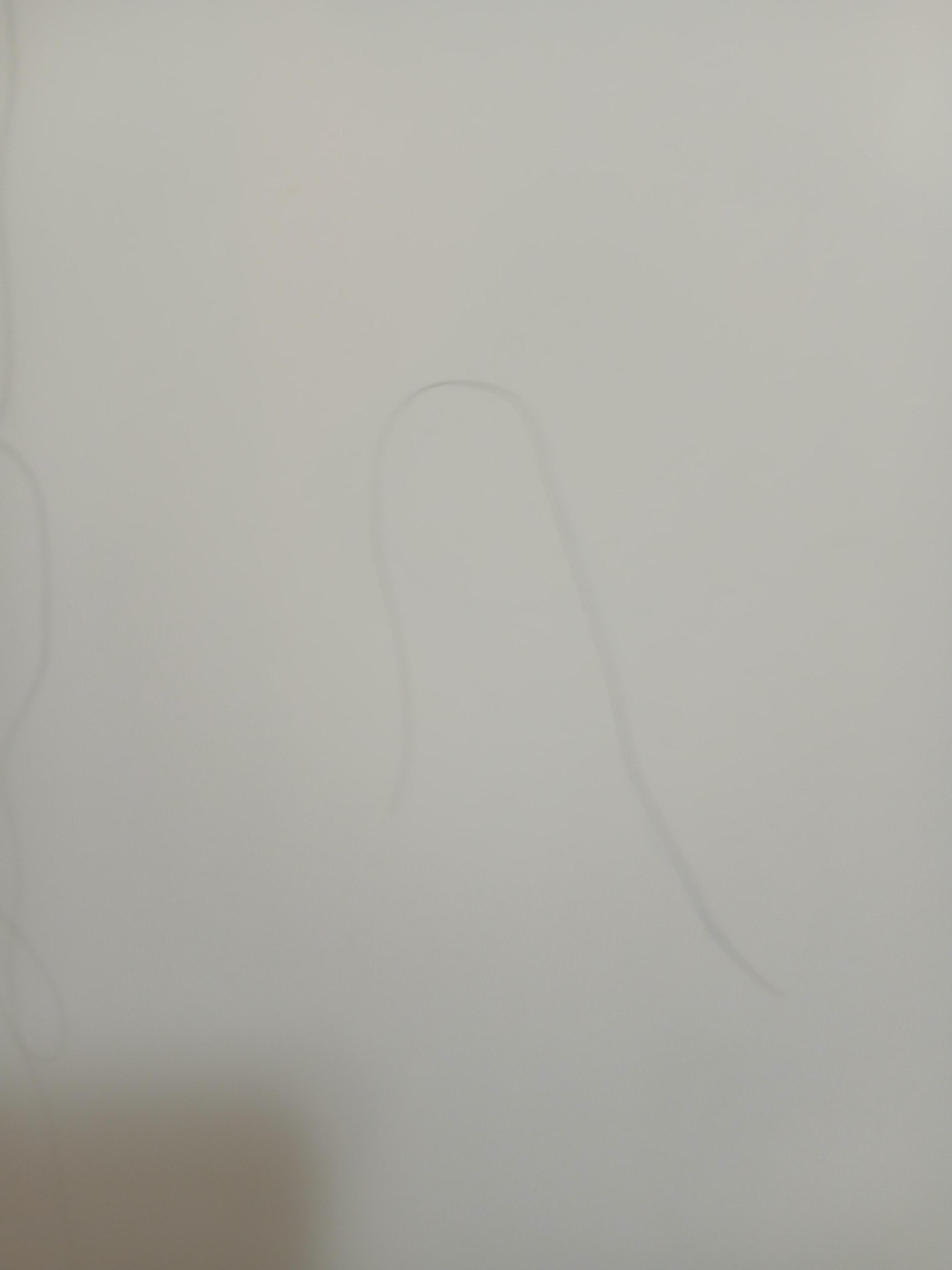 Long black hairs all over the shower wall