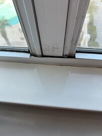 The window