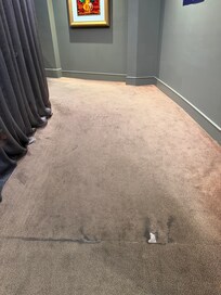 Disgusting carpet one