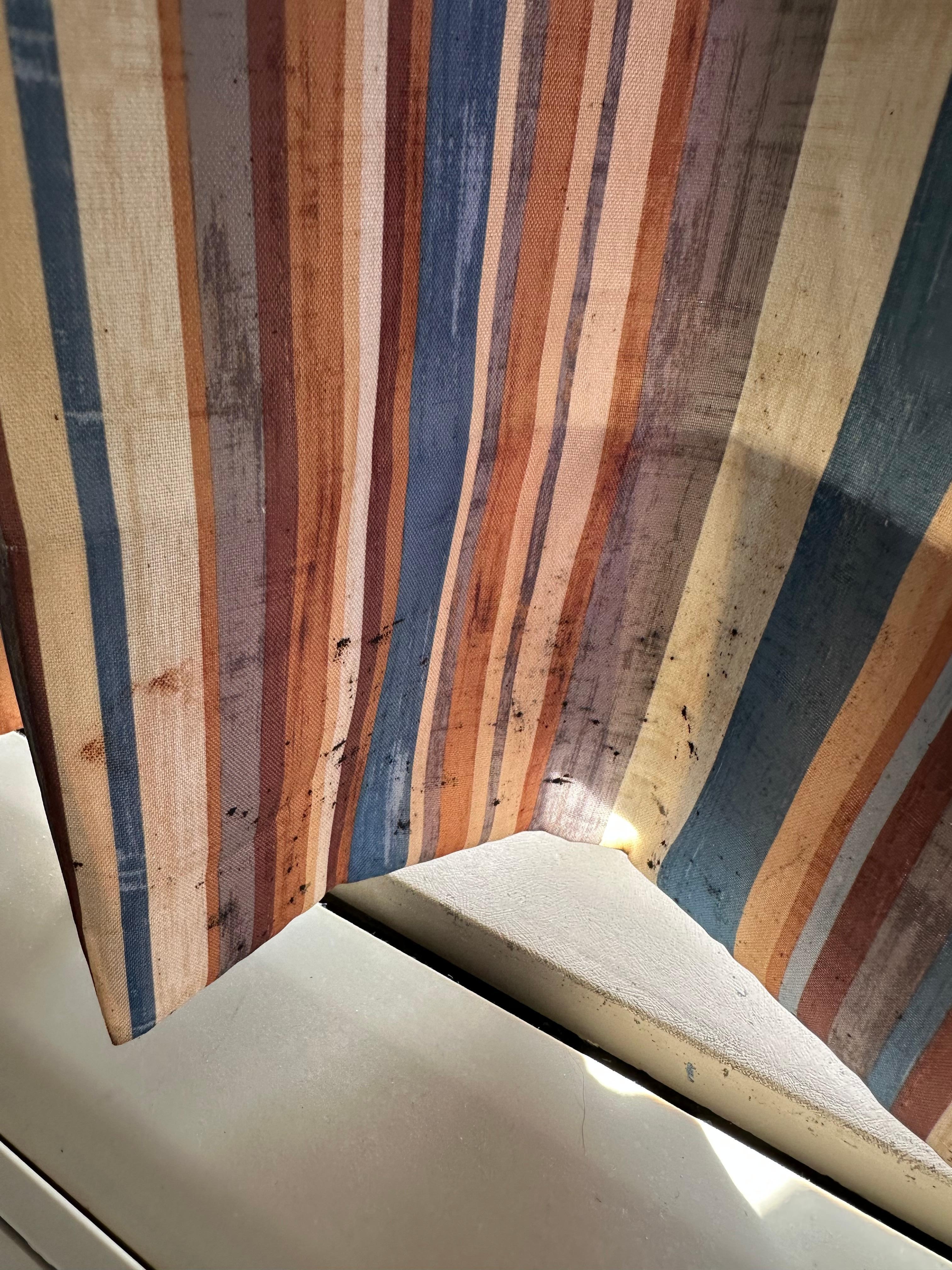 Moldy curtains 