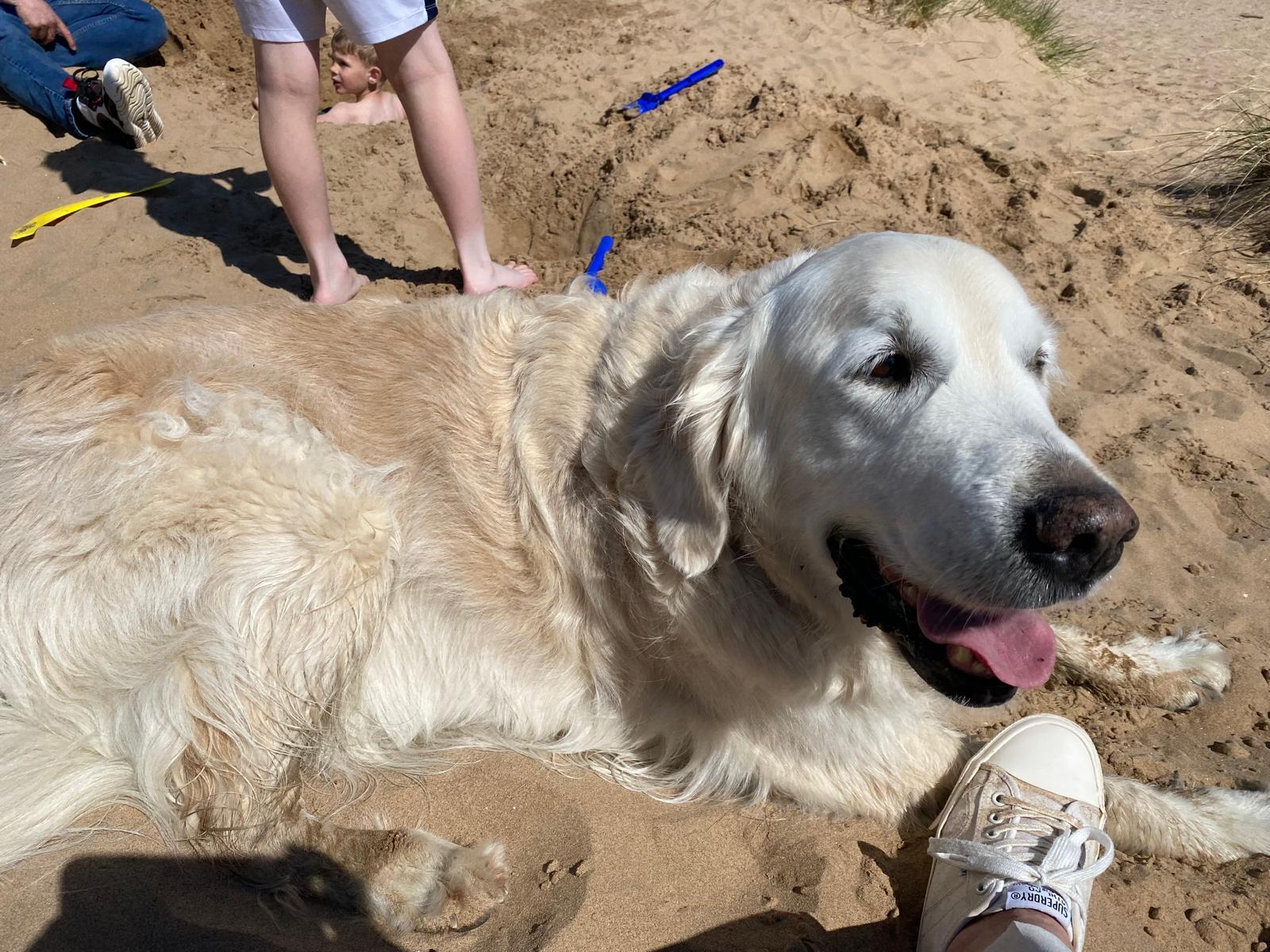 10 yr old Granville having a rest.