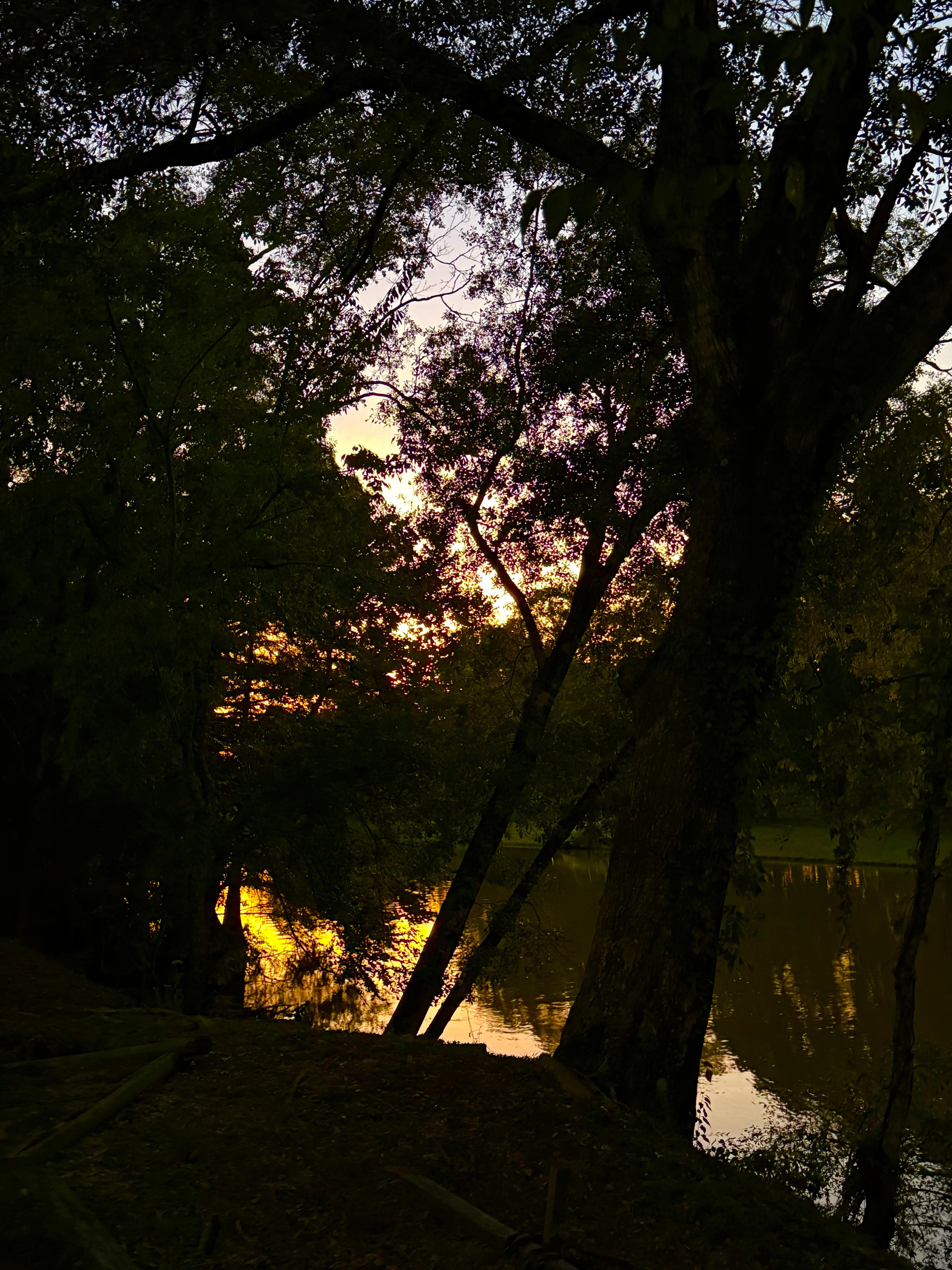 Sunset from the backyard 