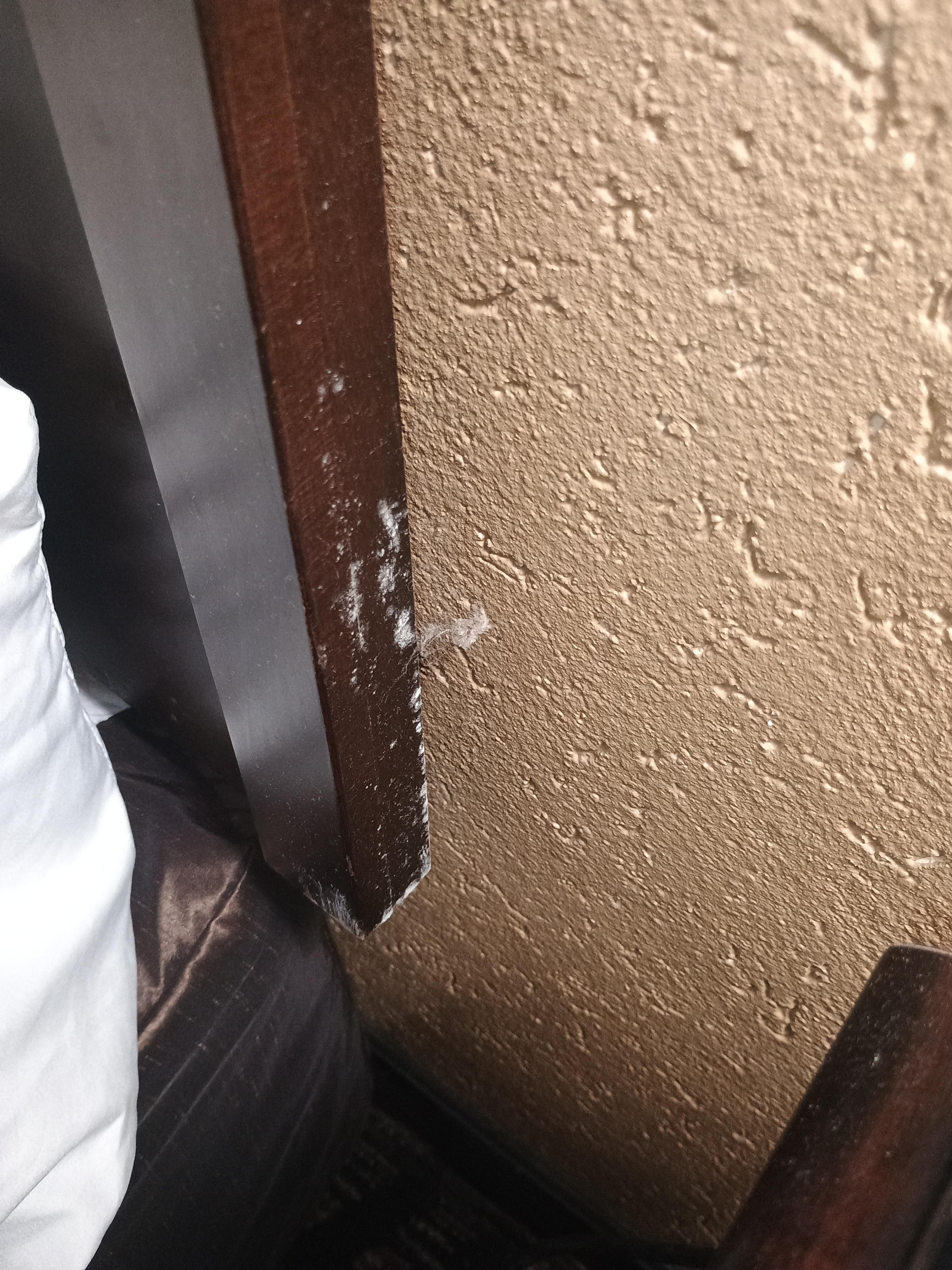 Mold on headboard of bed
