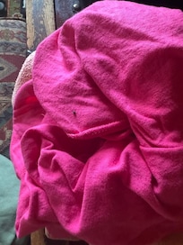 mouse dropping on our t shirt