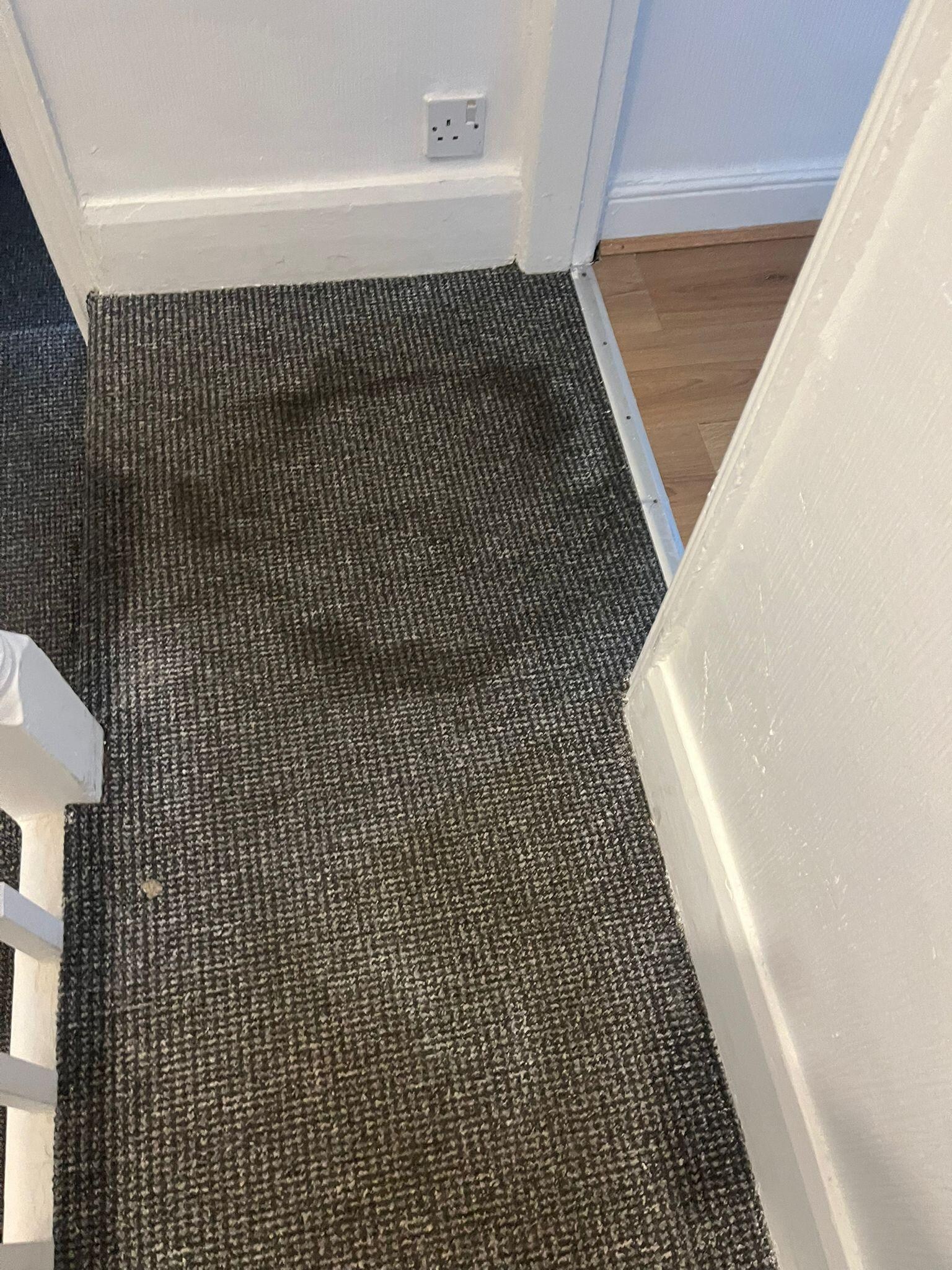filthy carpet