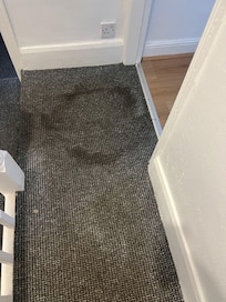 filthy carpet