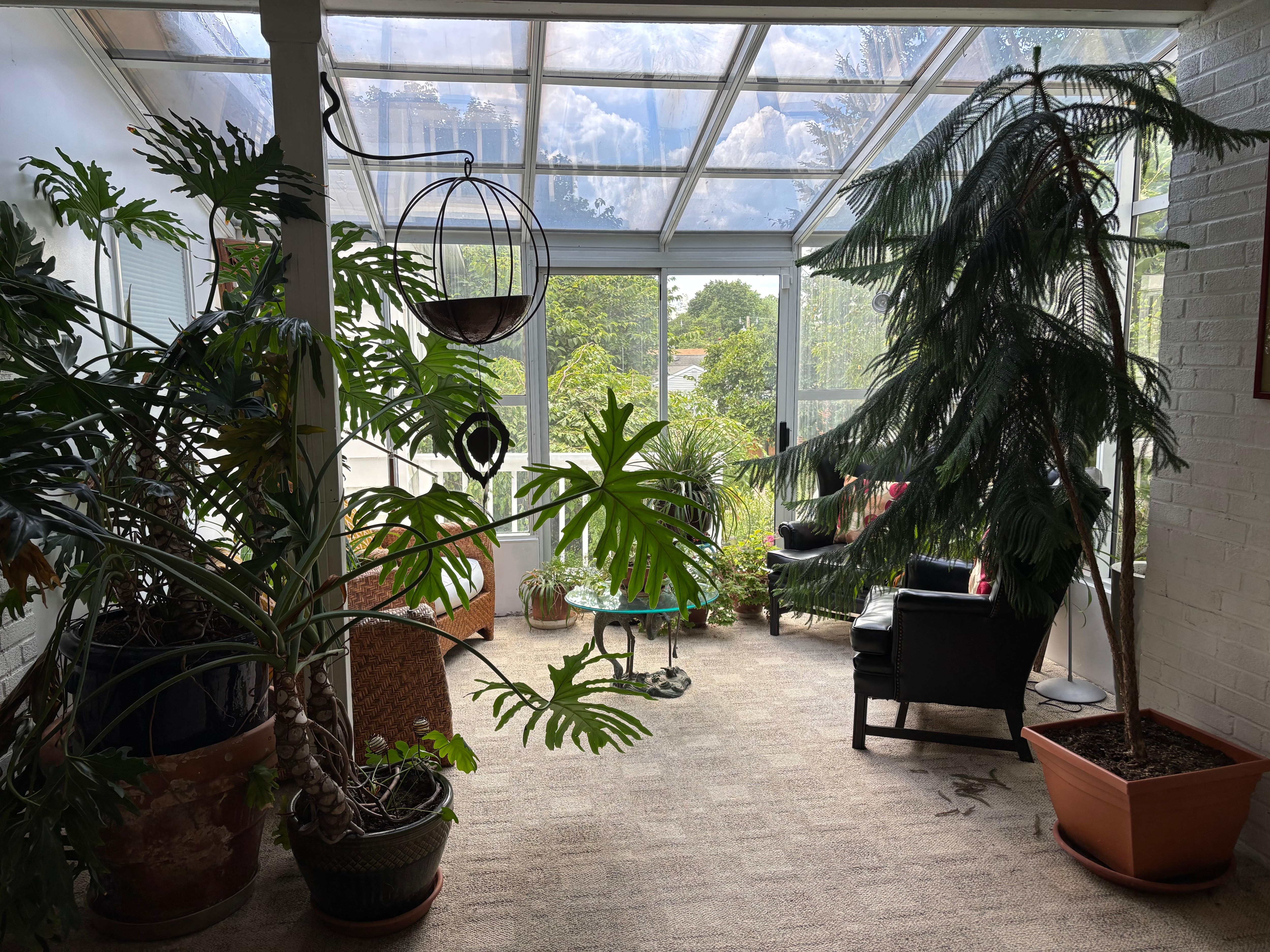 The sunroom was nice for relaxing and reading a book.
