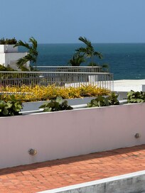 View from the rooftop