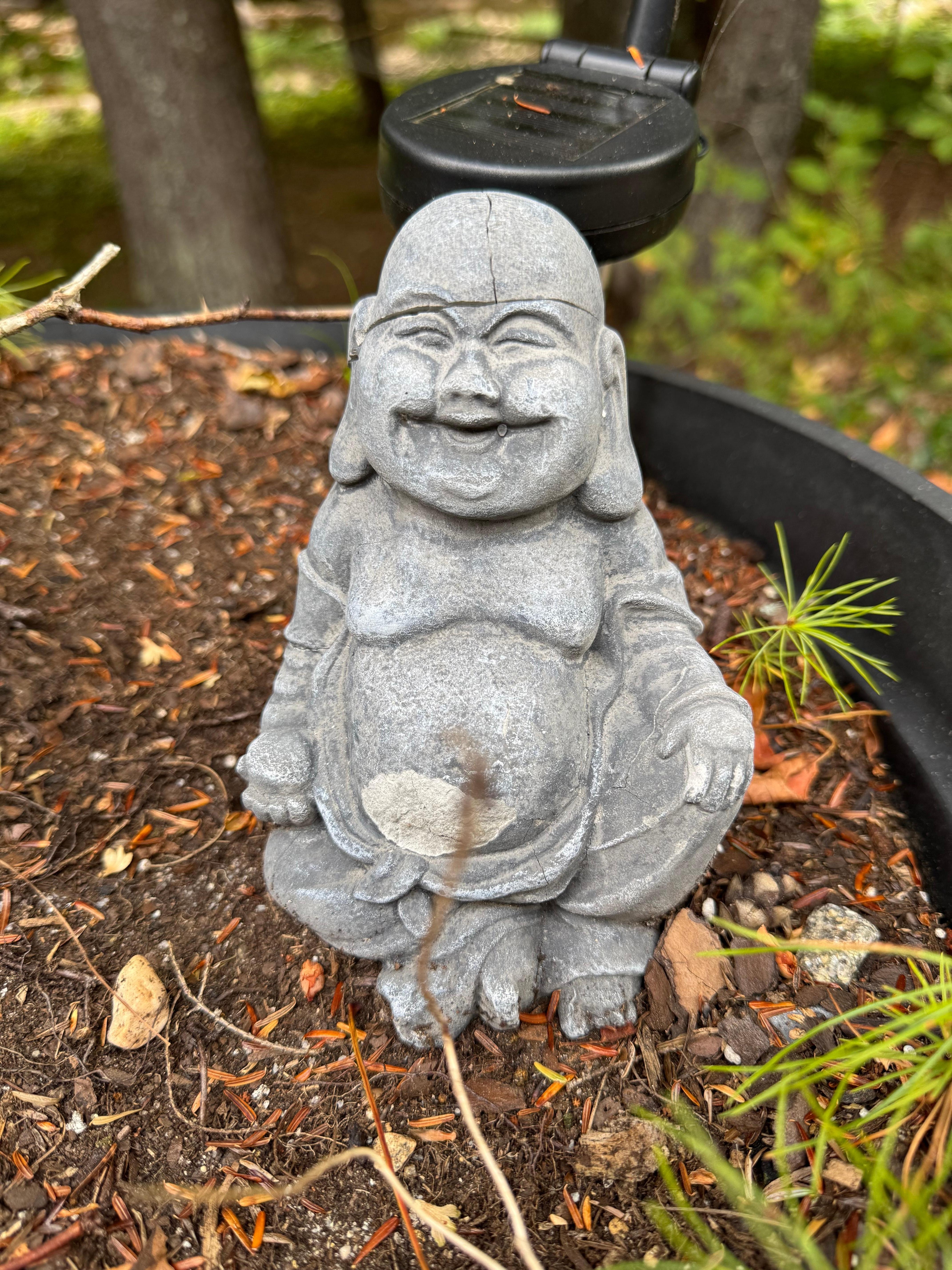 Kept a watchful eye outside! 