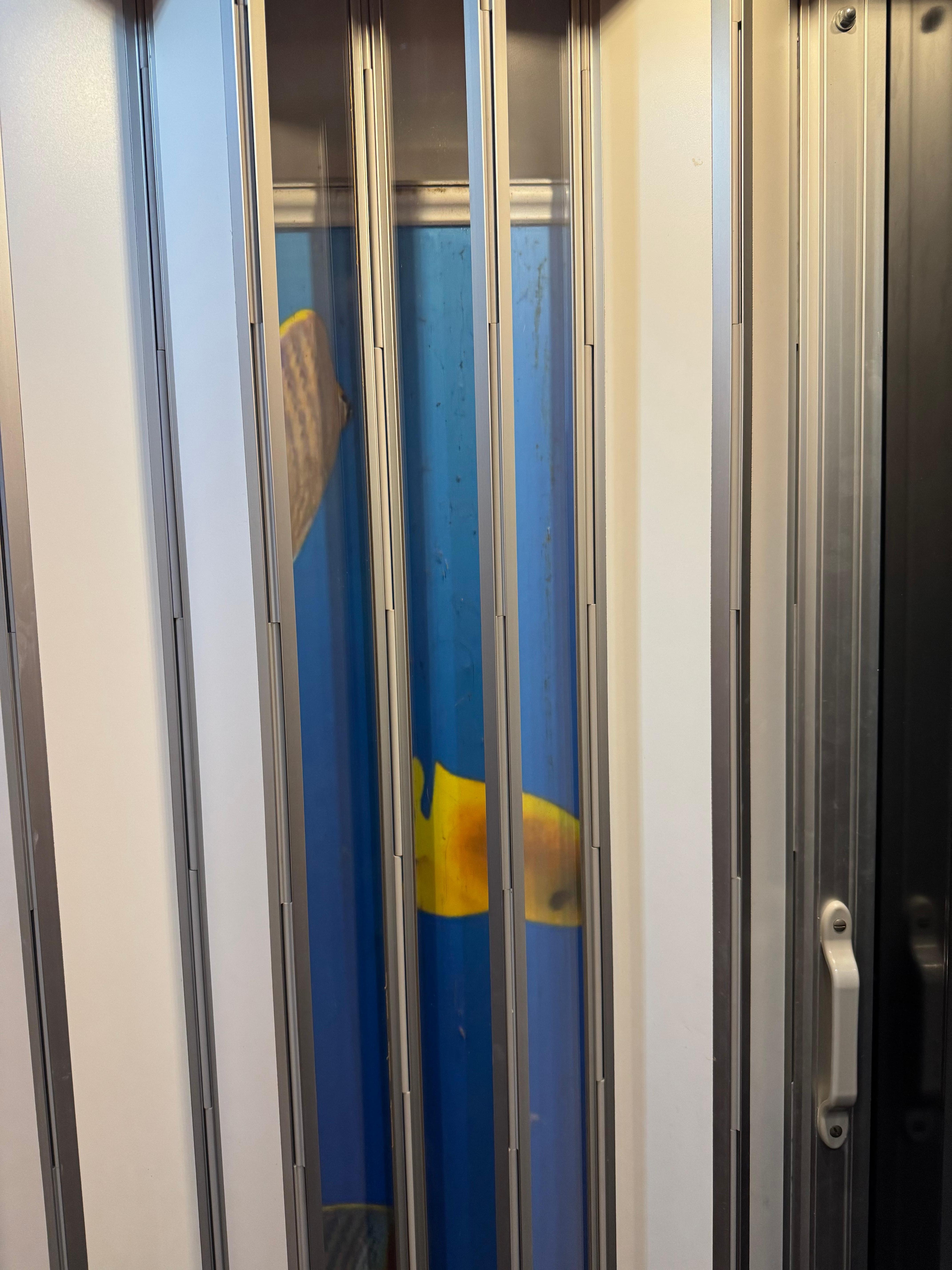 From inside the elevator a nice treat! 