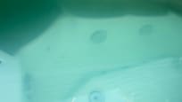 This is the water of the hot tub, not only it was not clean, it was full of bacteria’s that caused health issues to my son and wife