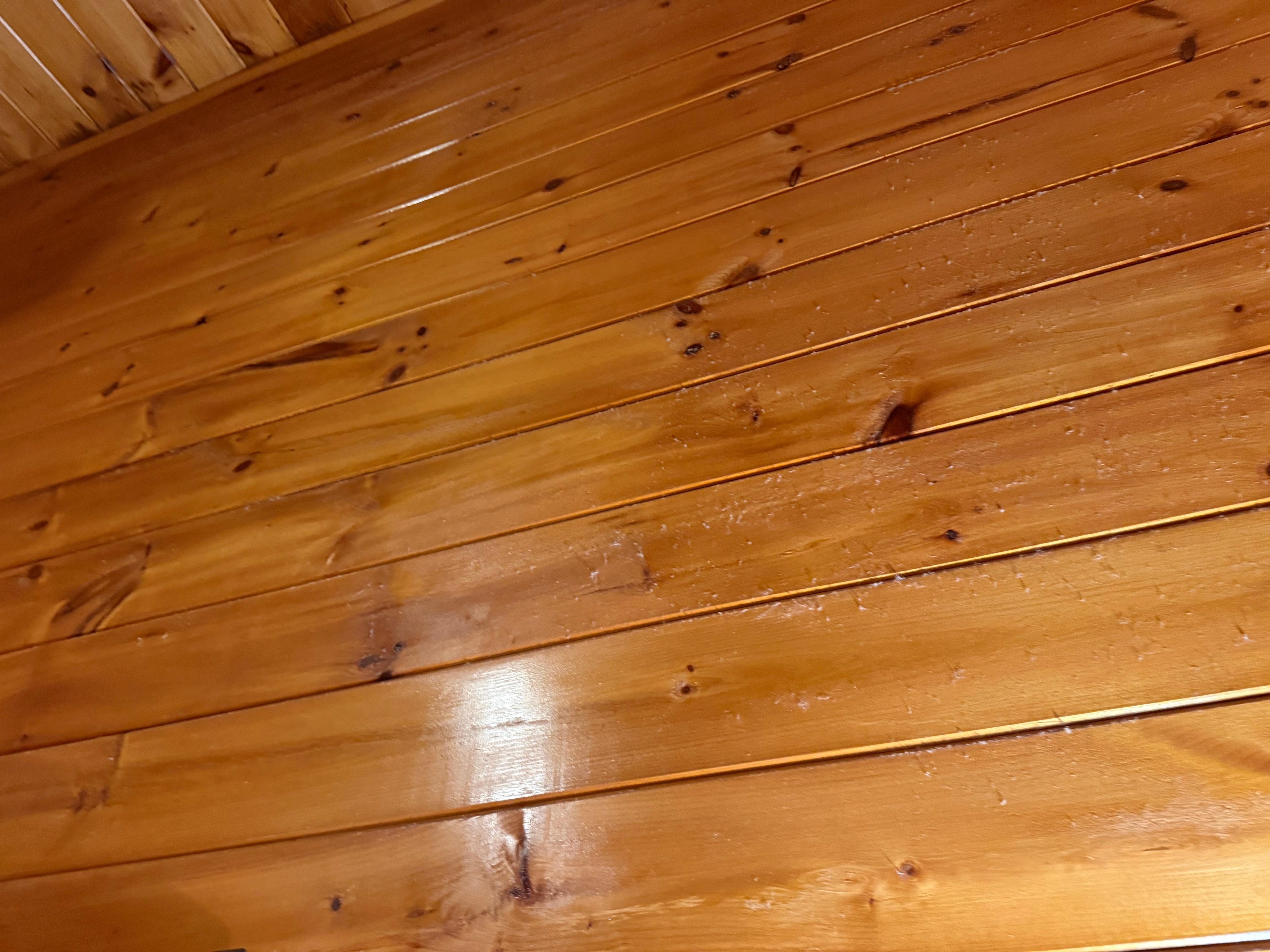 The wood walls were heavily dusty