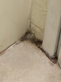Black mold in the shower