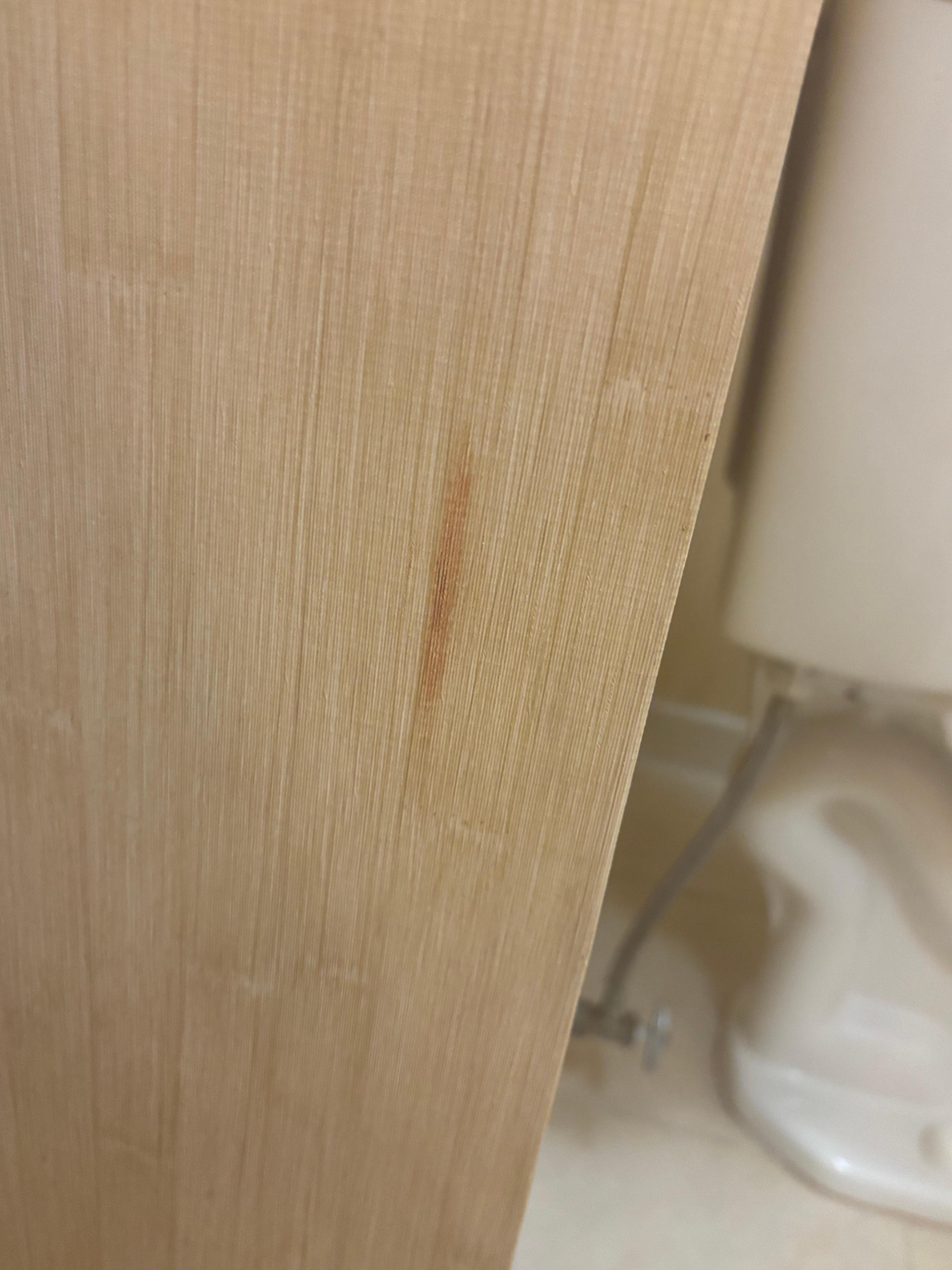 Blood/poop stain on wall