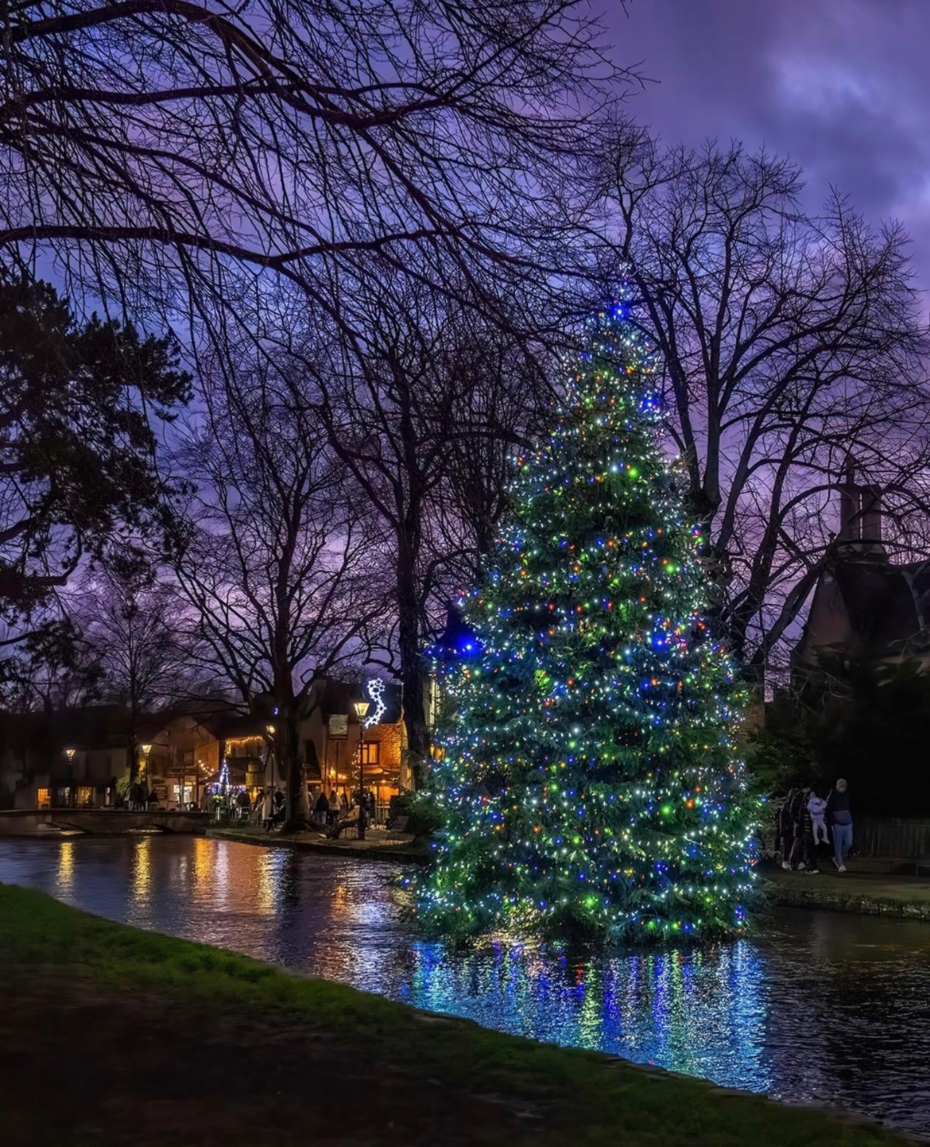 Tree in front of the house in the river 