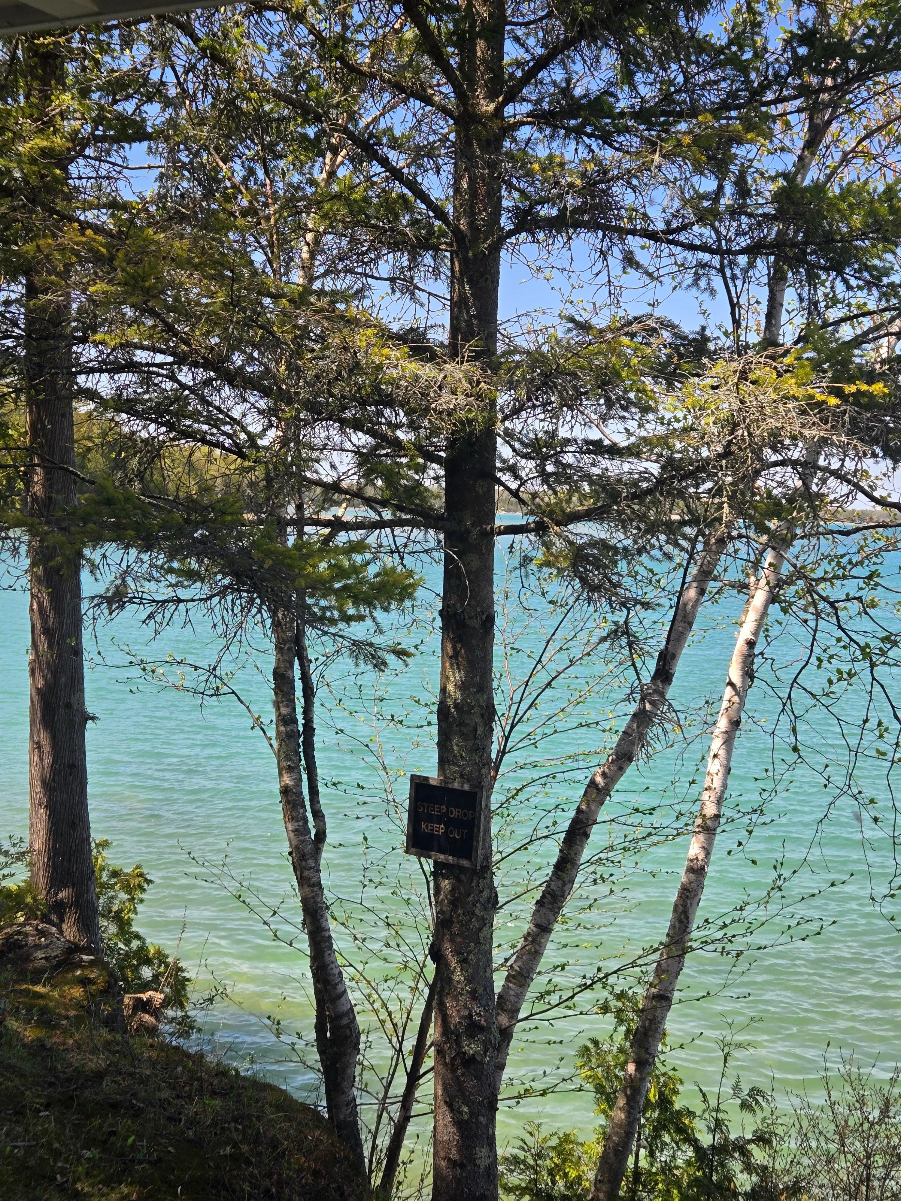 View from sitting area of cottage.