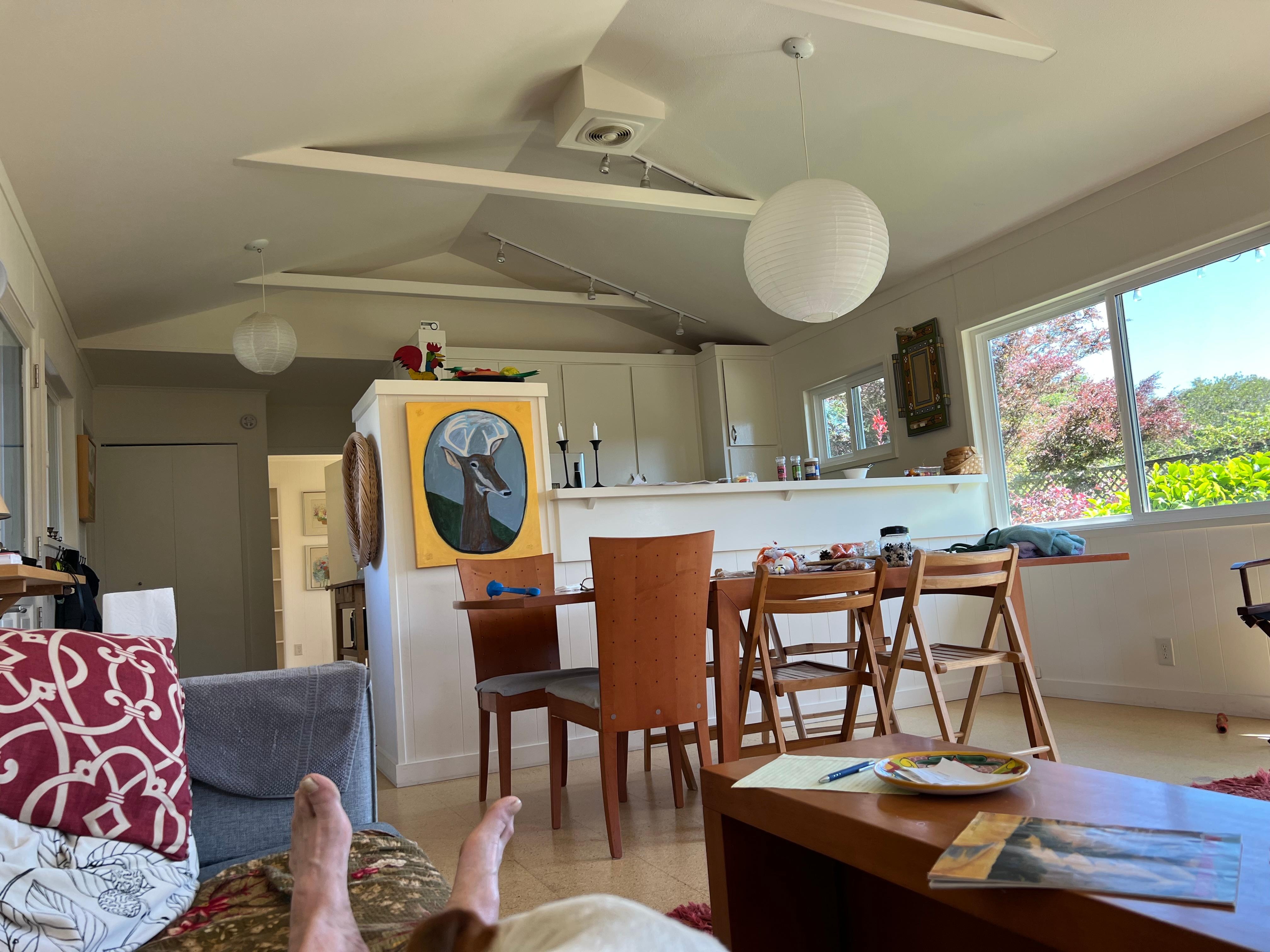 From the couch, looking toward the dining table and kitchen