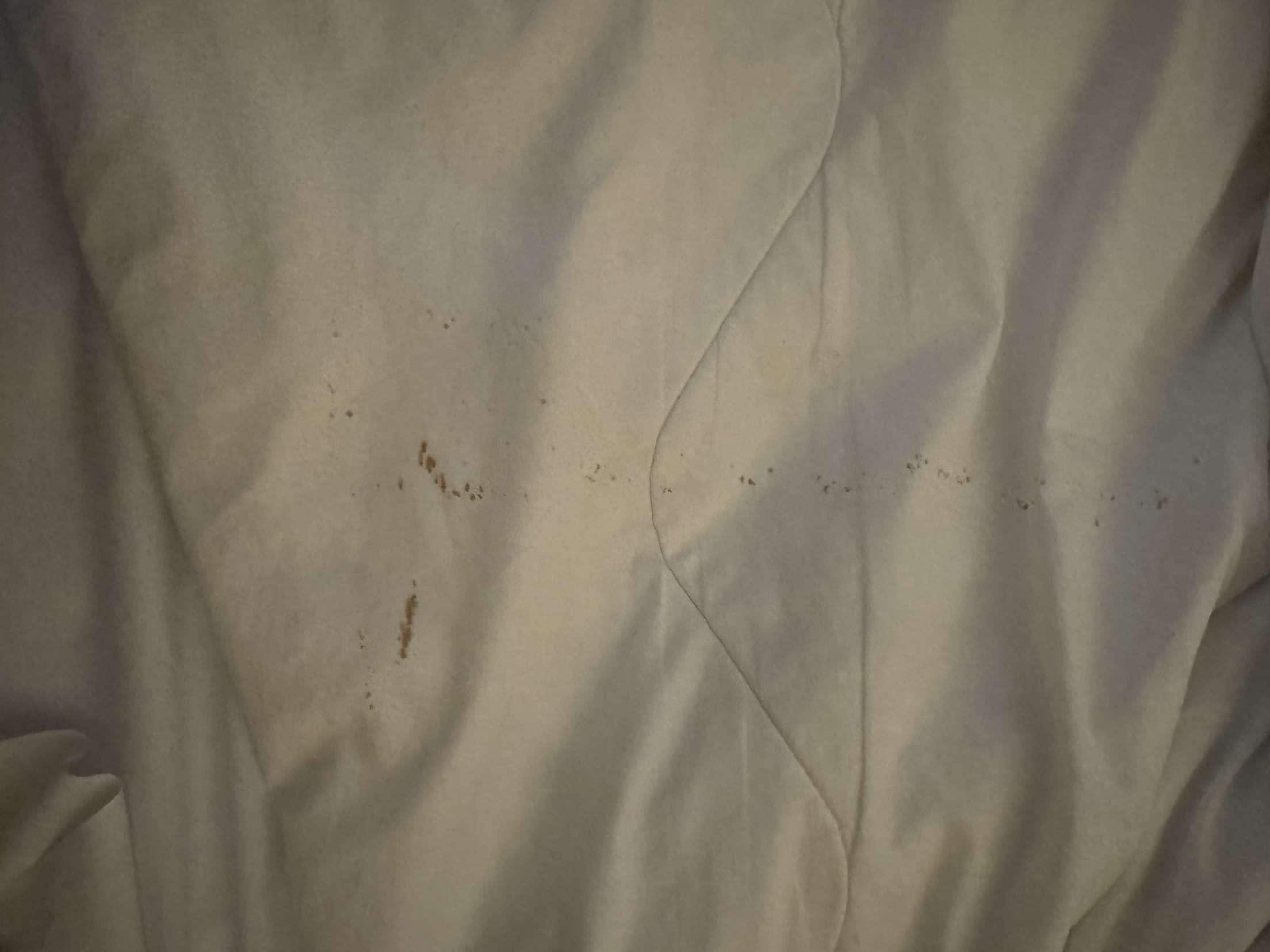 3 nights we stayed and the bedding wasn’t changed but the bed was made up tidy.