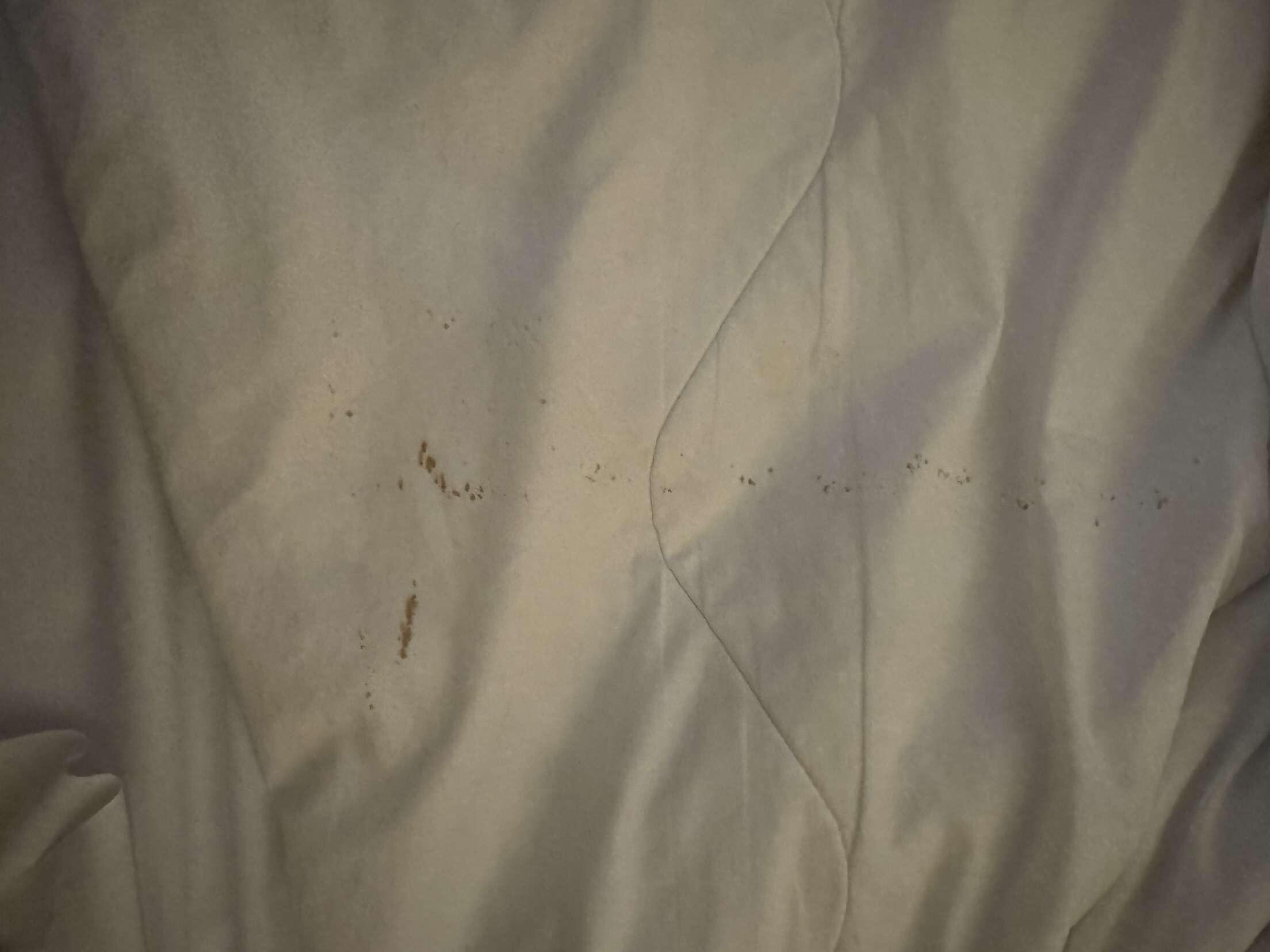 3 nights we stayed and the bedding wasn’t changed but the bed was made up tidy.