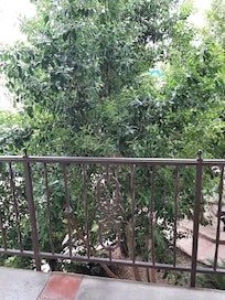 Our pool view
