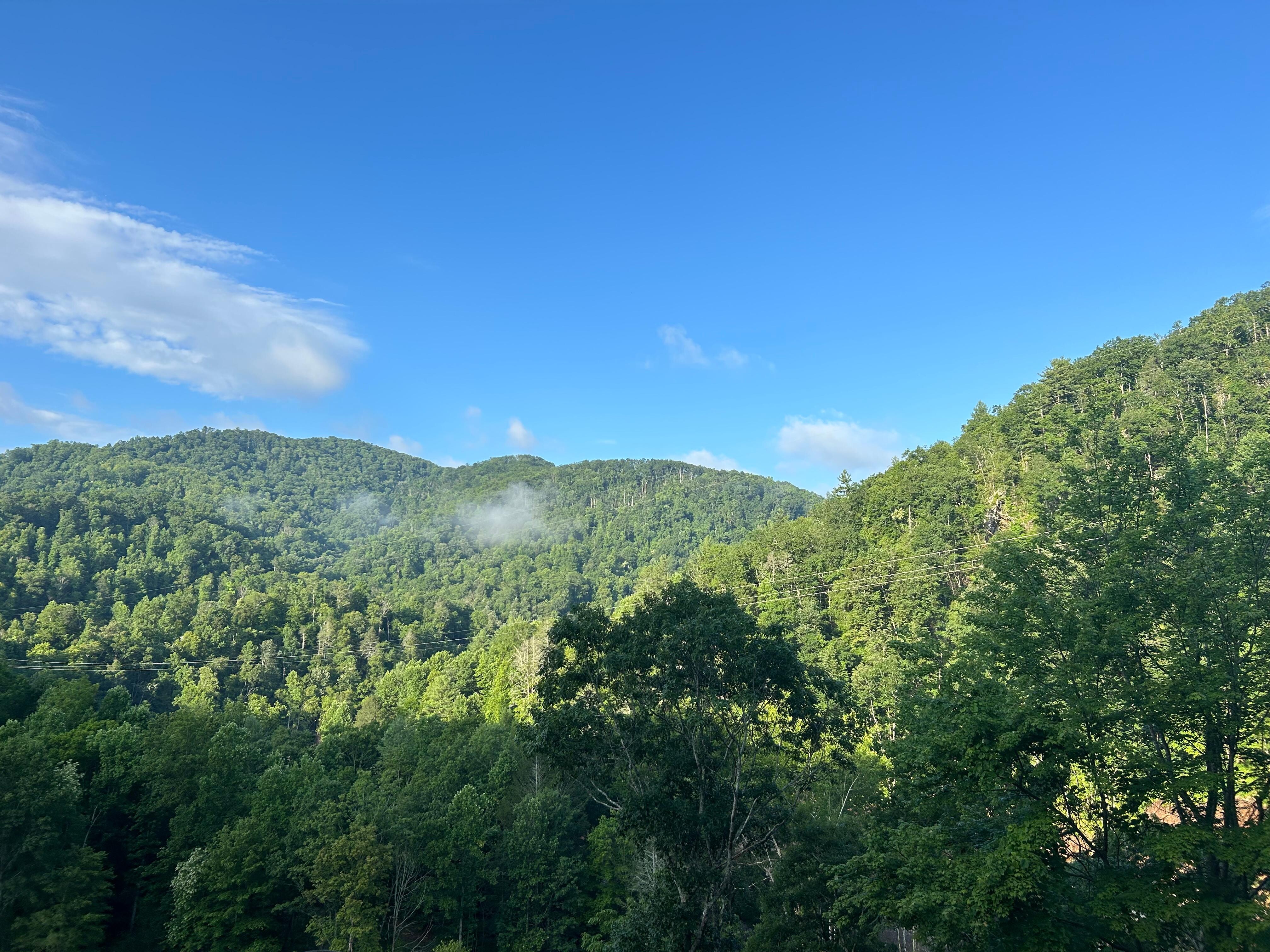 Daytime from deck 