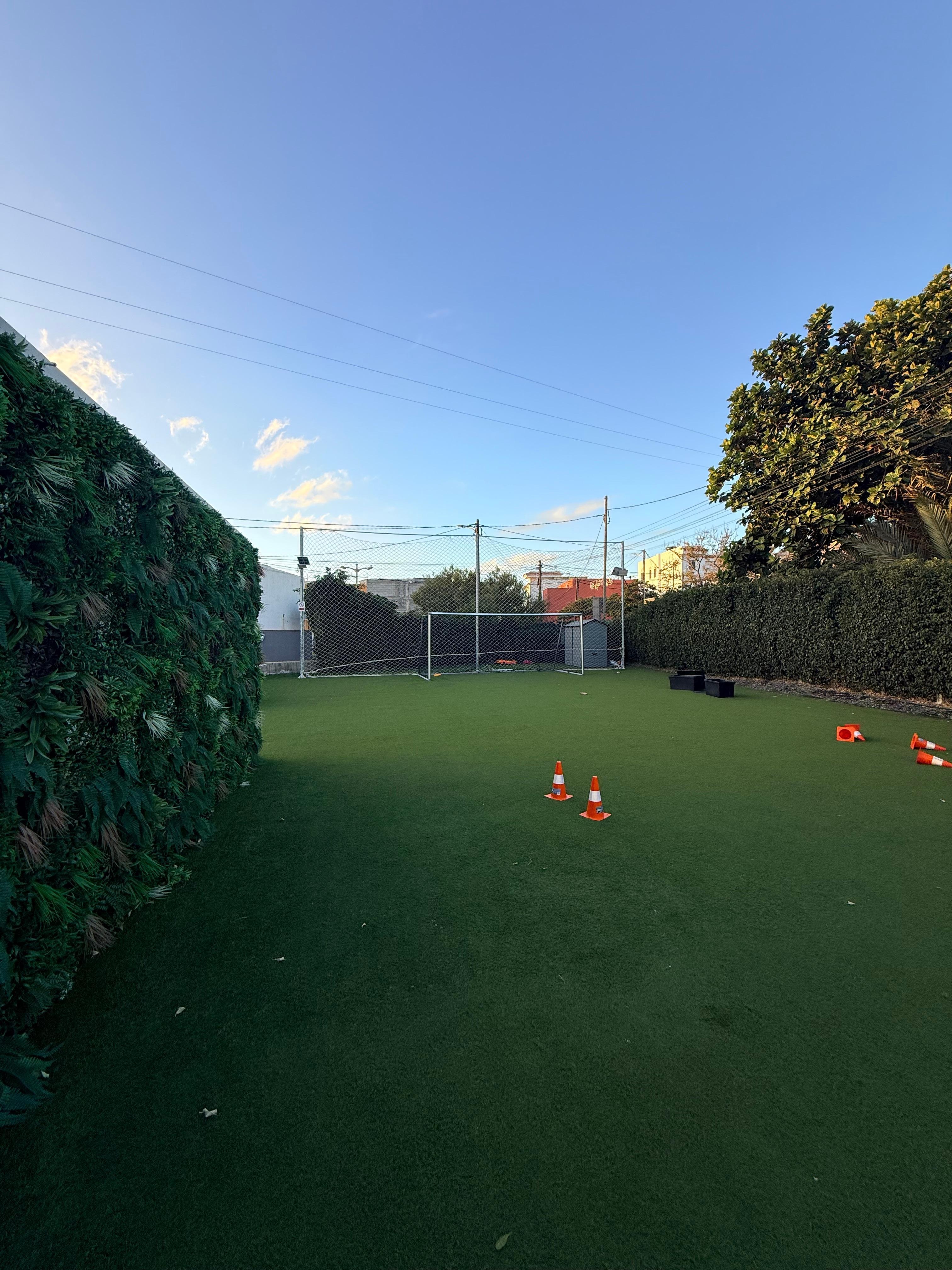 Great backyard with football 