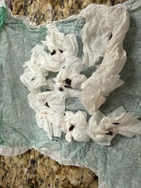 Flies I killed in my room - in 30 minutes!