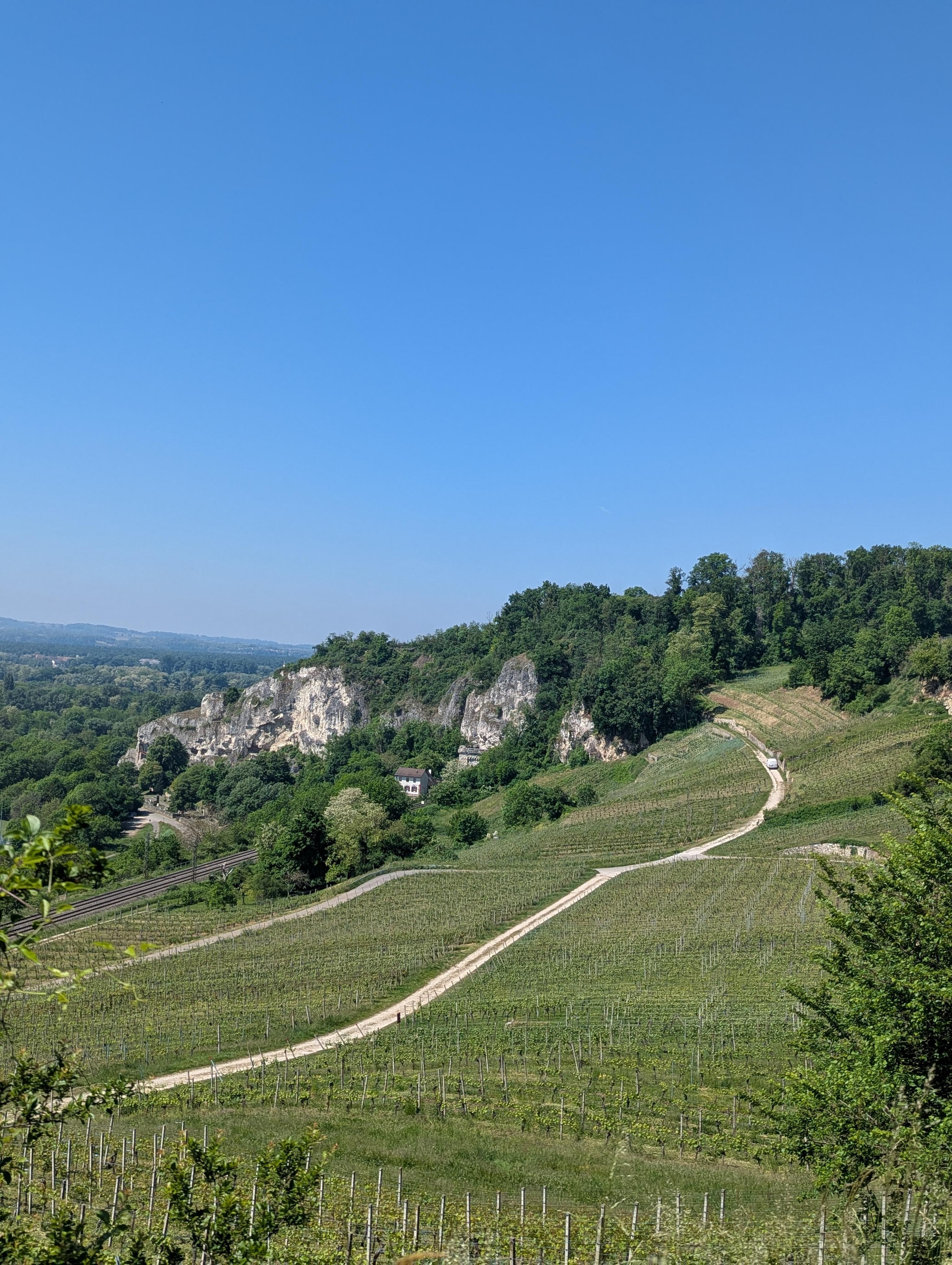 Isteiner Weinberge