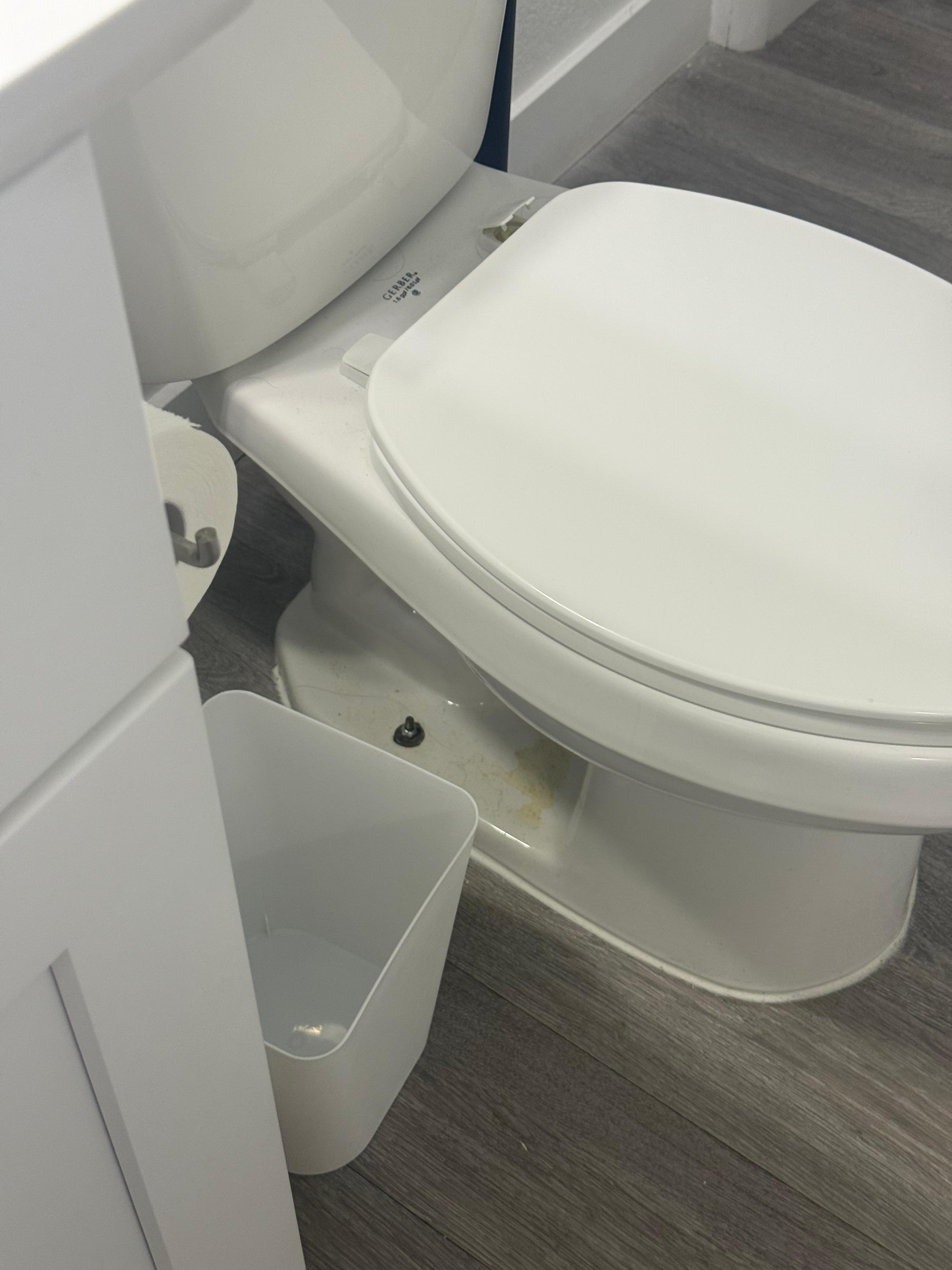 Uncleaned toilet