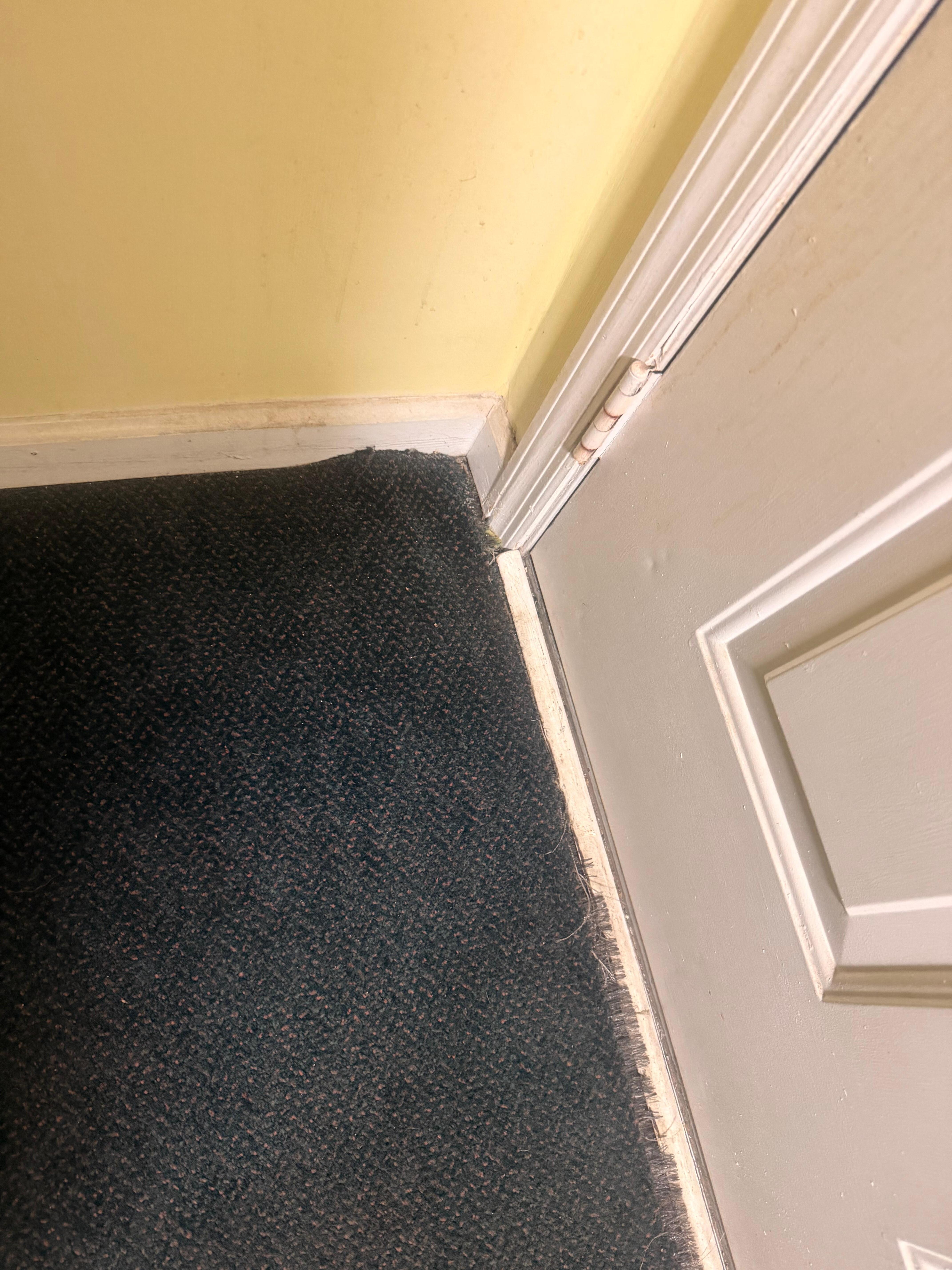 Carpet coming up and dirty 