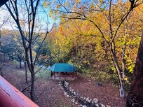 View from the balcony