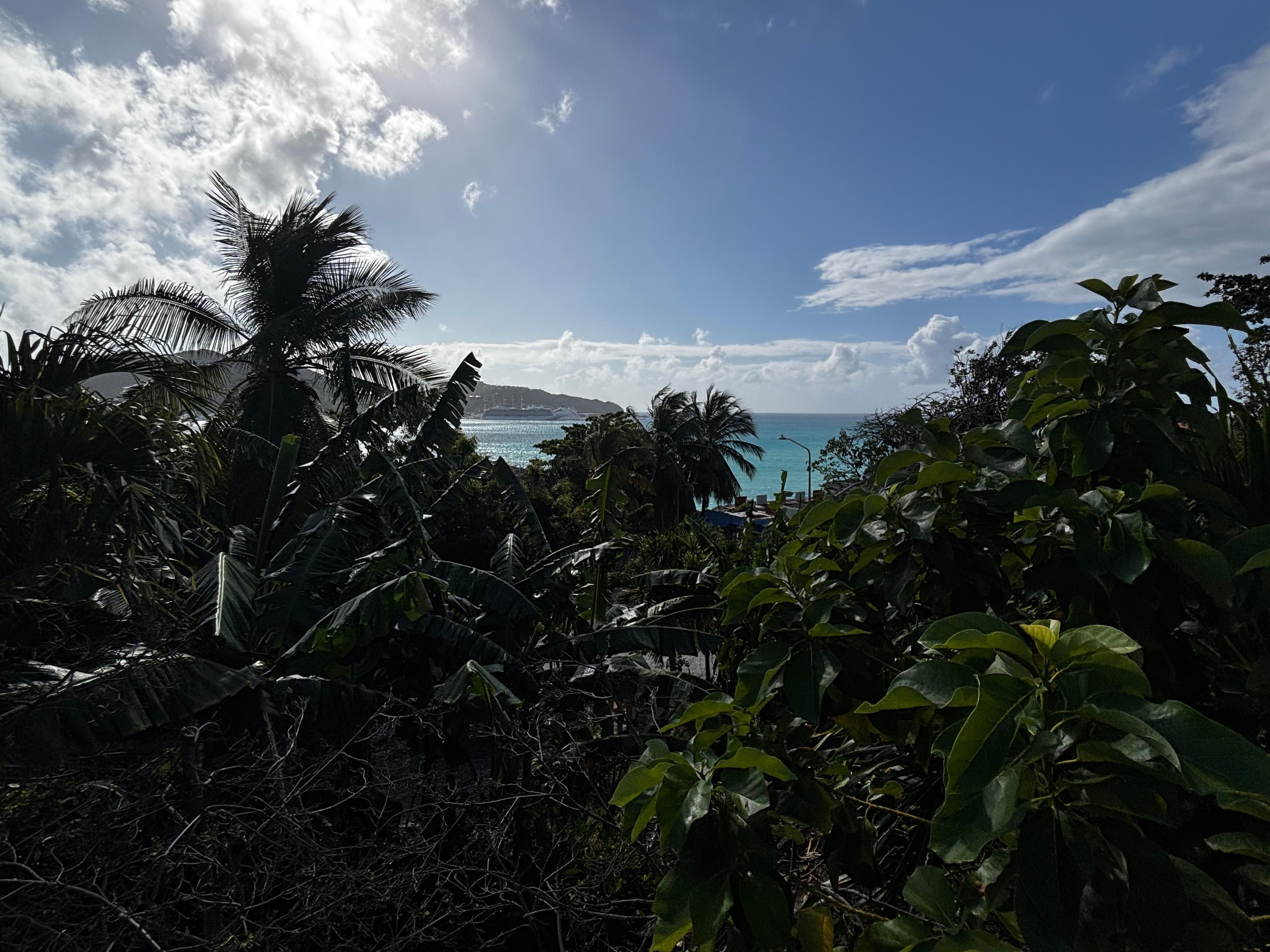 View from the green space on property 