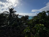 View from the green space on property